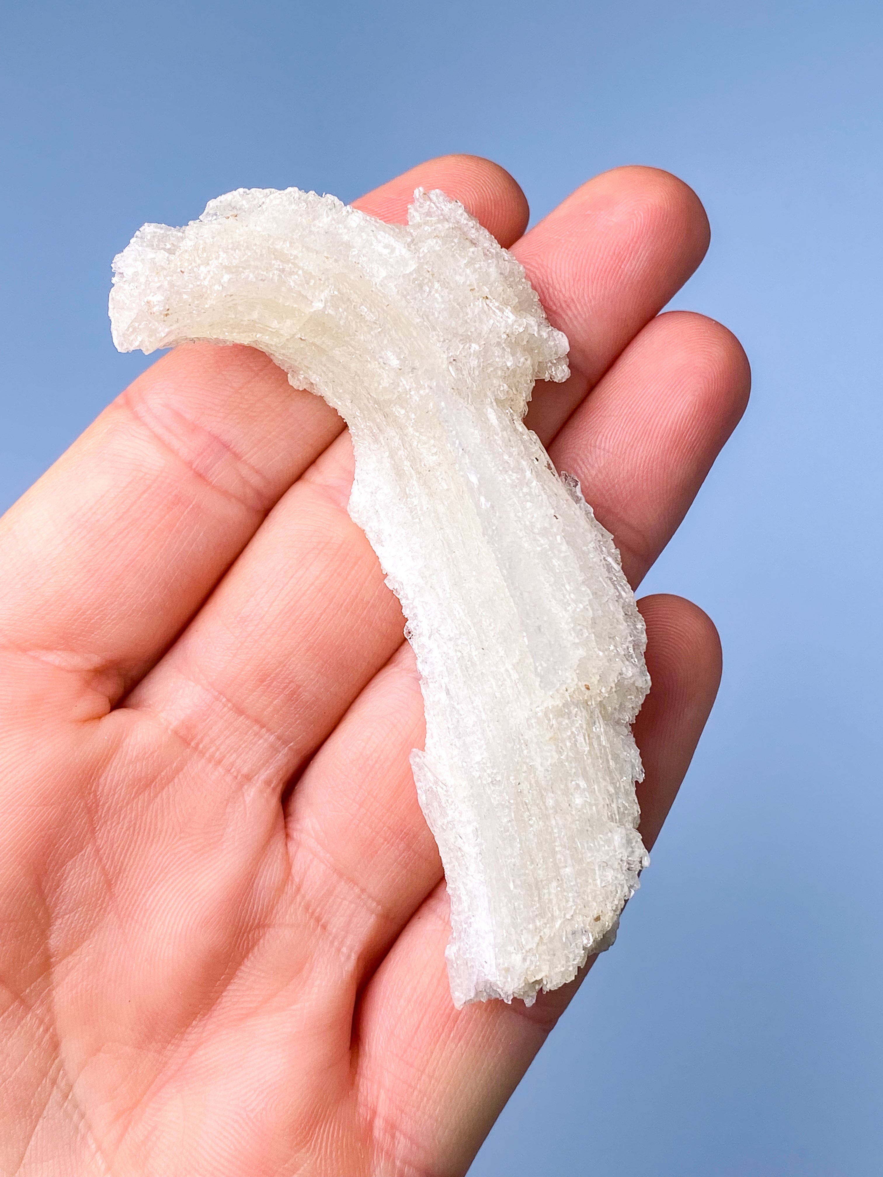 Rams Horn Selenit (Nr. 12) Eksklusiv Kvalitet