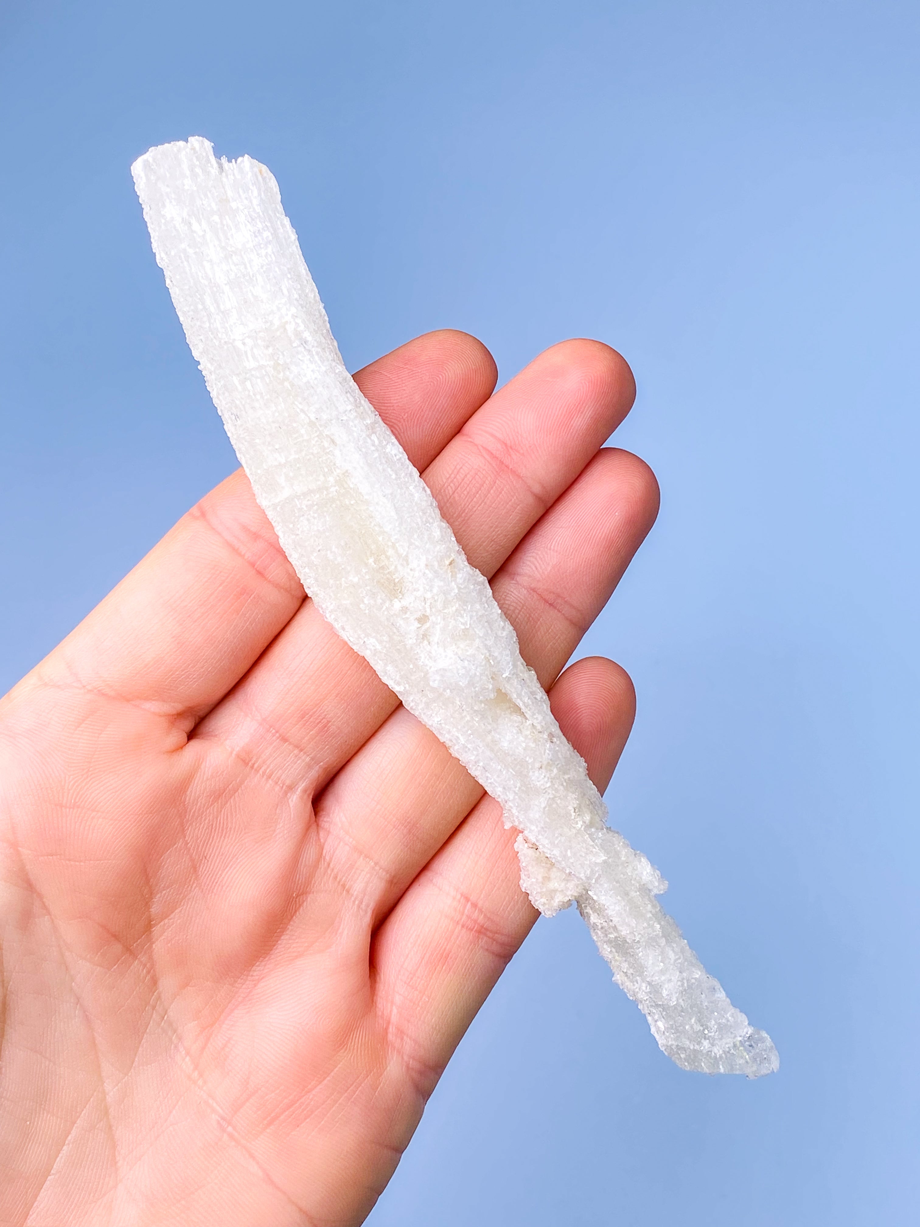 Rams Horn Selenit (Nr. 13) Eksklusiv Kvalitet