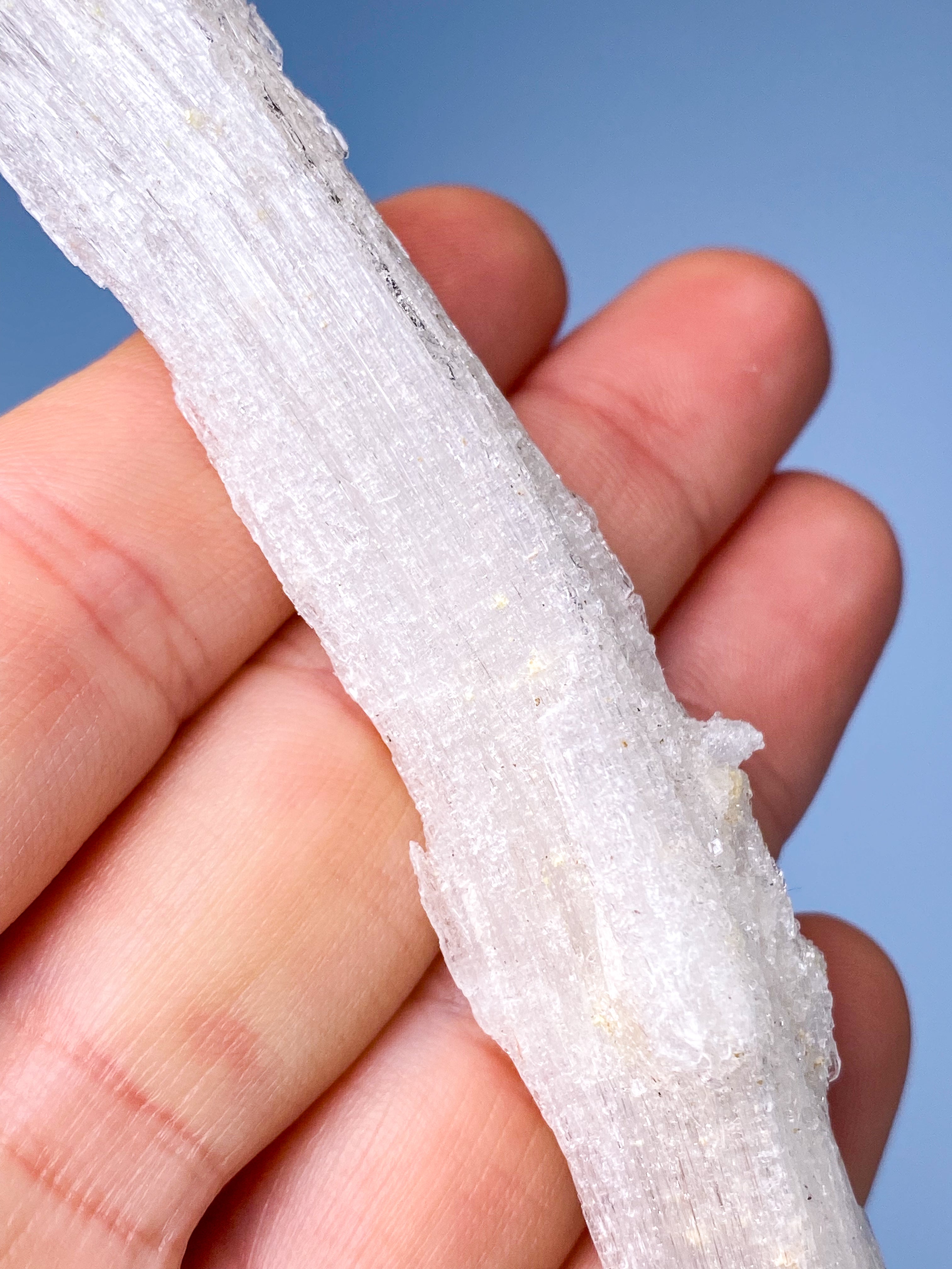 Rams Horn Selenit (Nr. 14) Eksklusiv Kvalitet