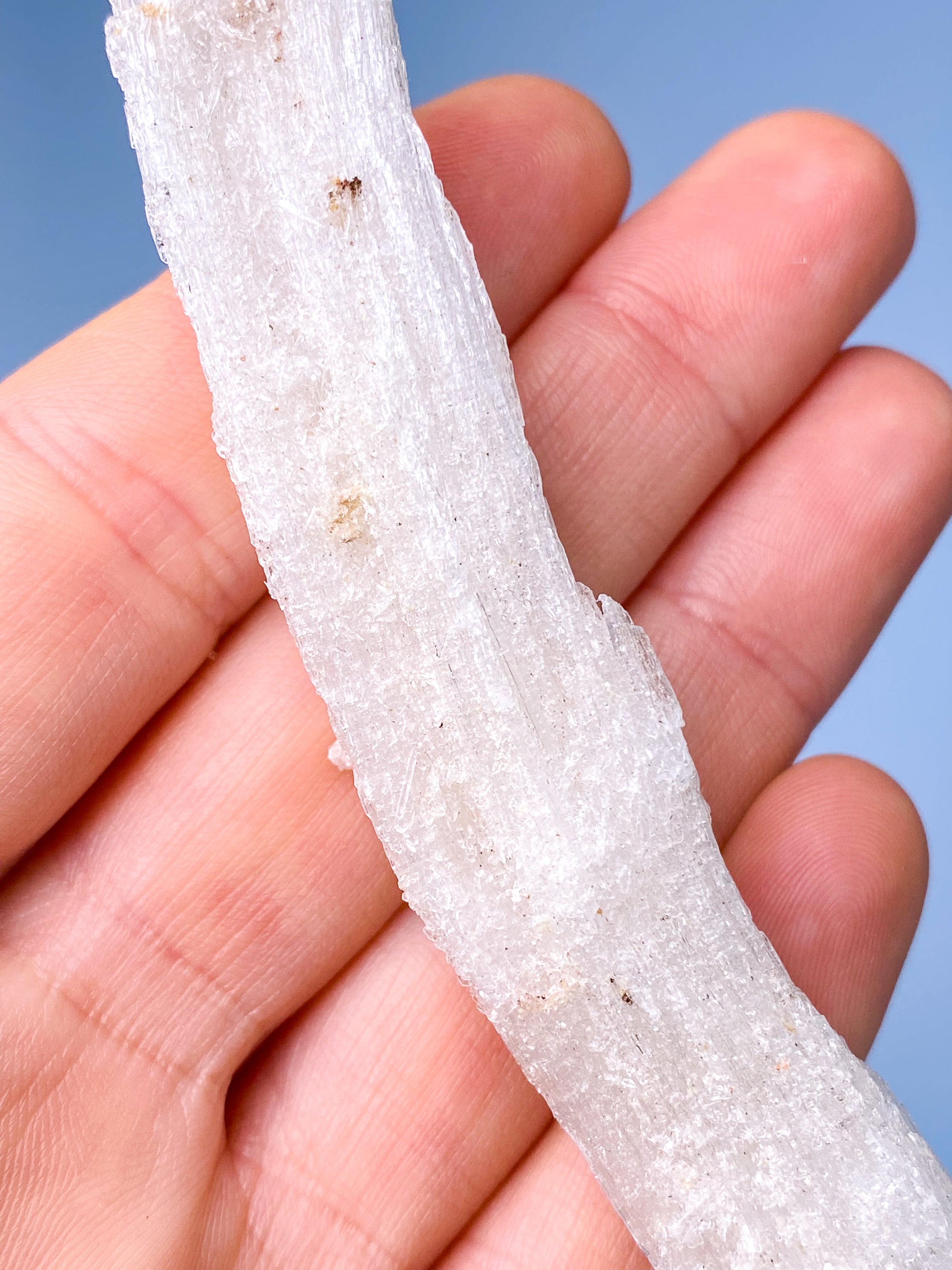 Rams Horn Selenit (Nr. 14) Eksklusiv Kvalitet