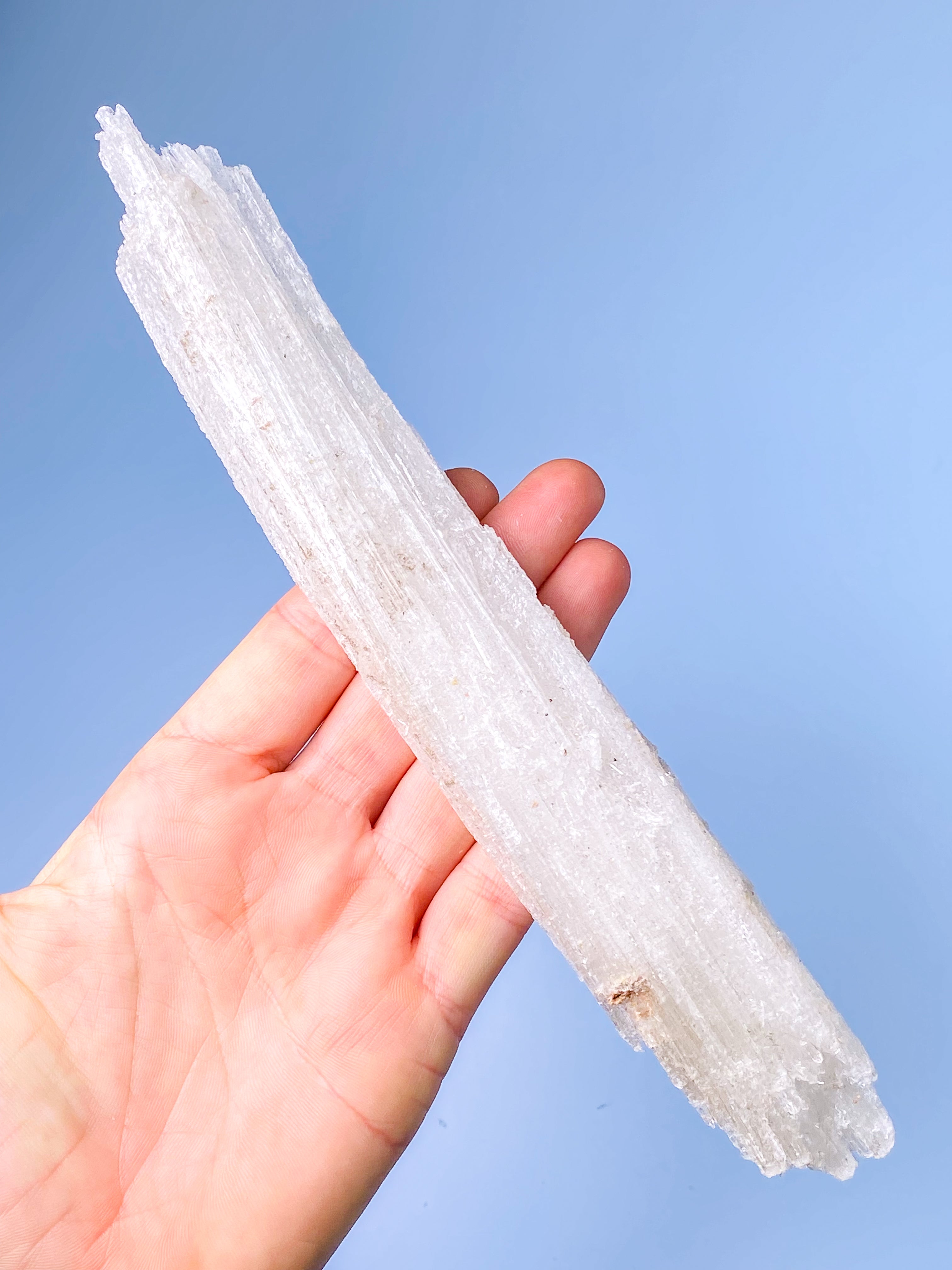 Rams Horn Selenit (Nr. 15) Eksklusiv Kvalitet