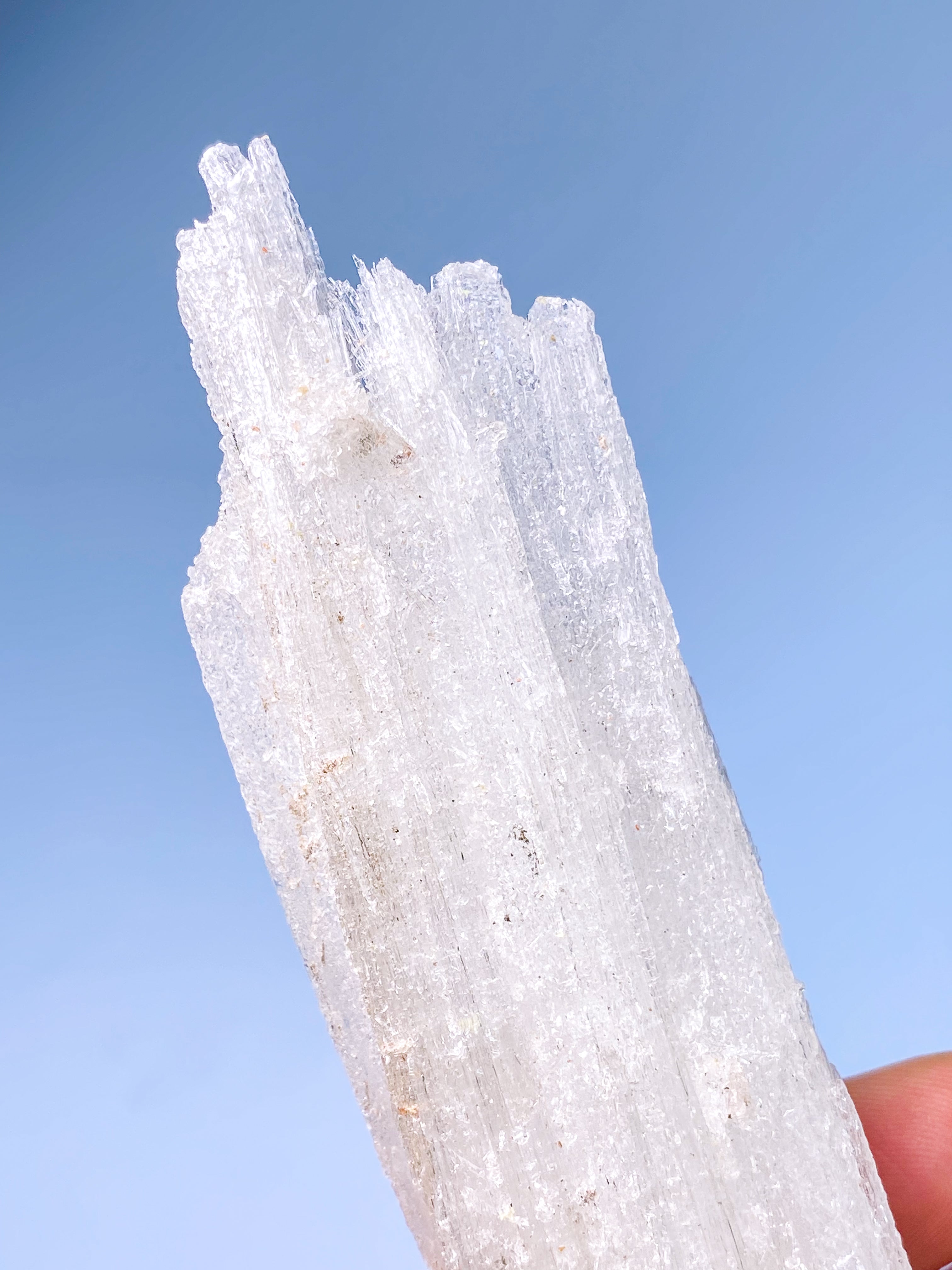 Rams Horn Selenit (Nr. 15) Eksklusiv Kvalitet