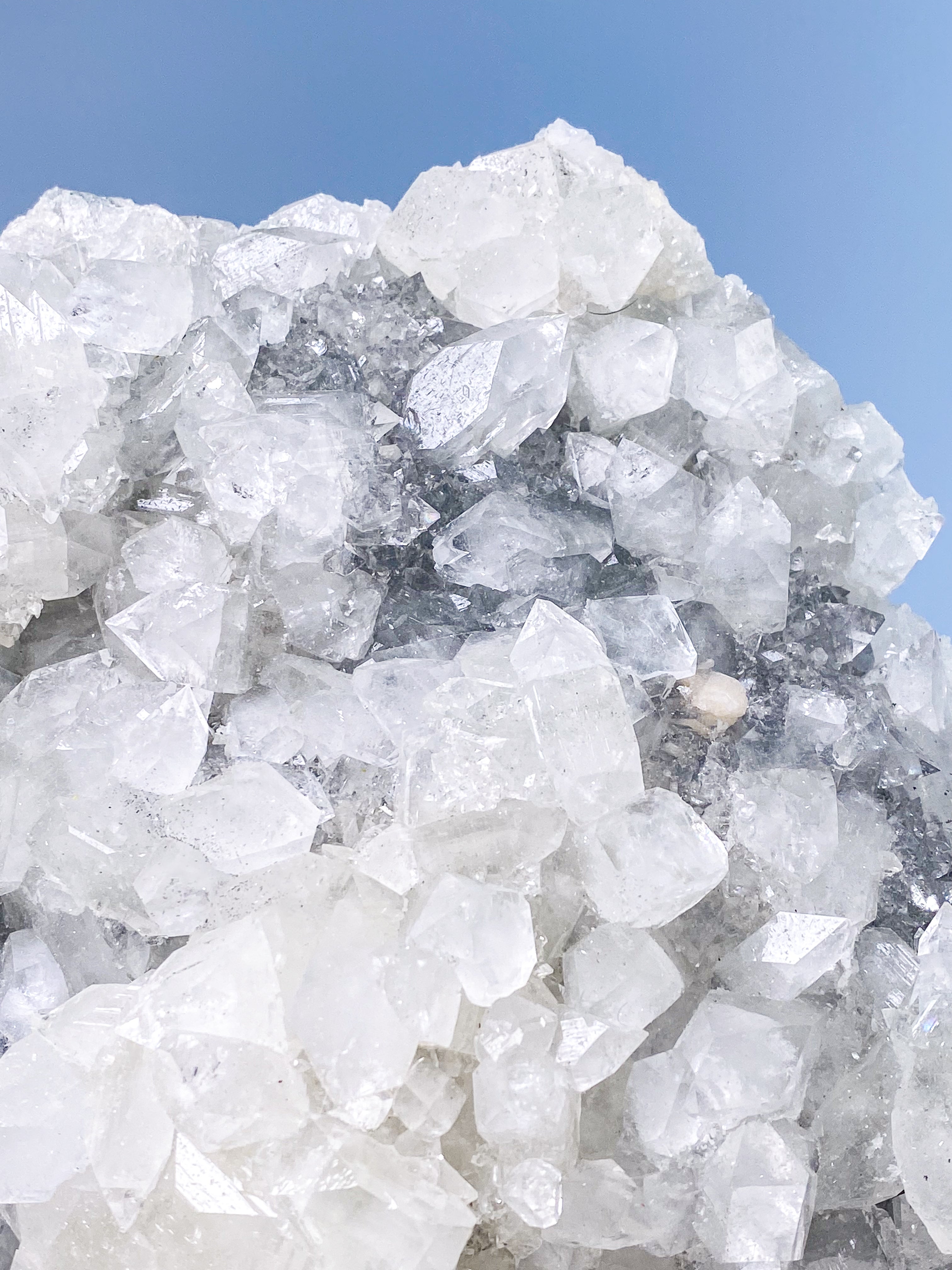 Apofyllitkluster (nr 81)