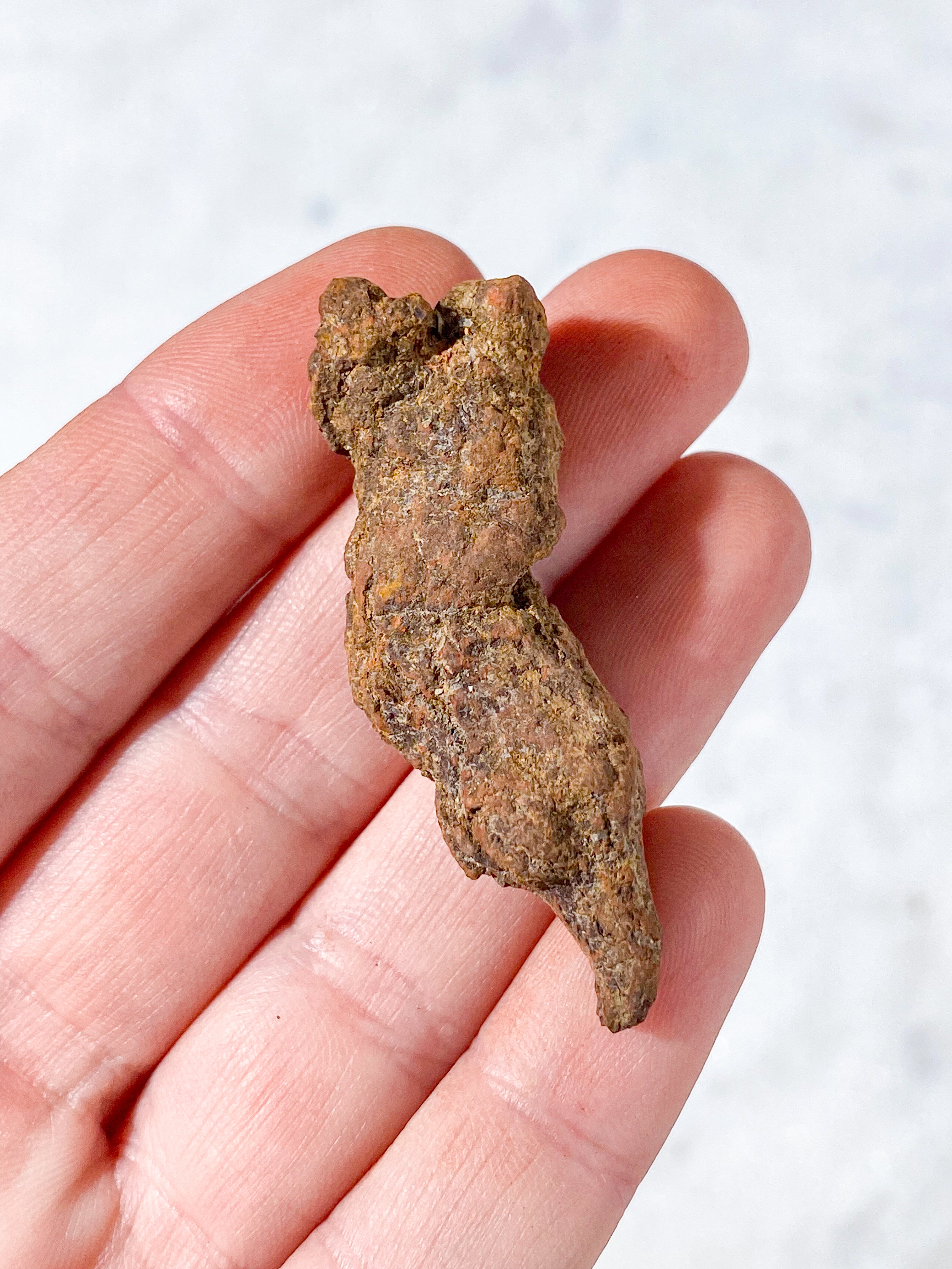 Koprolit Fossil (Nr. 6)