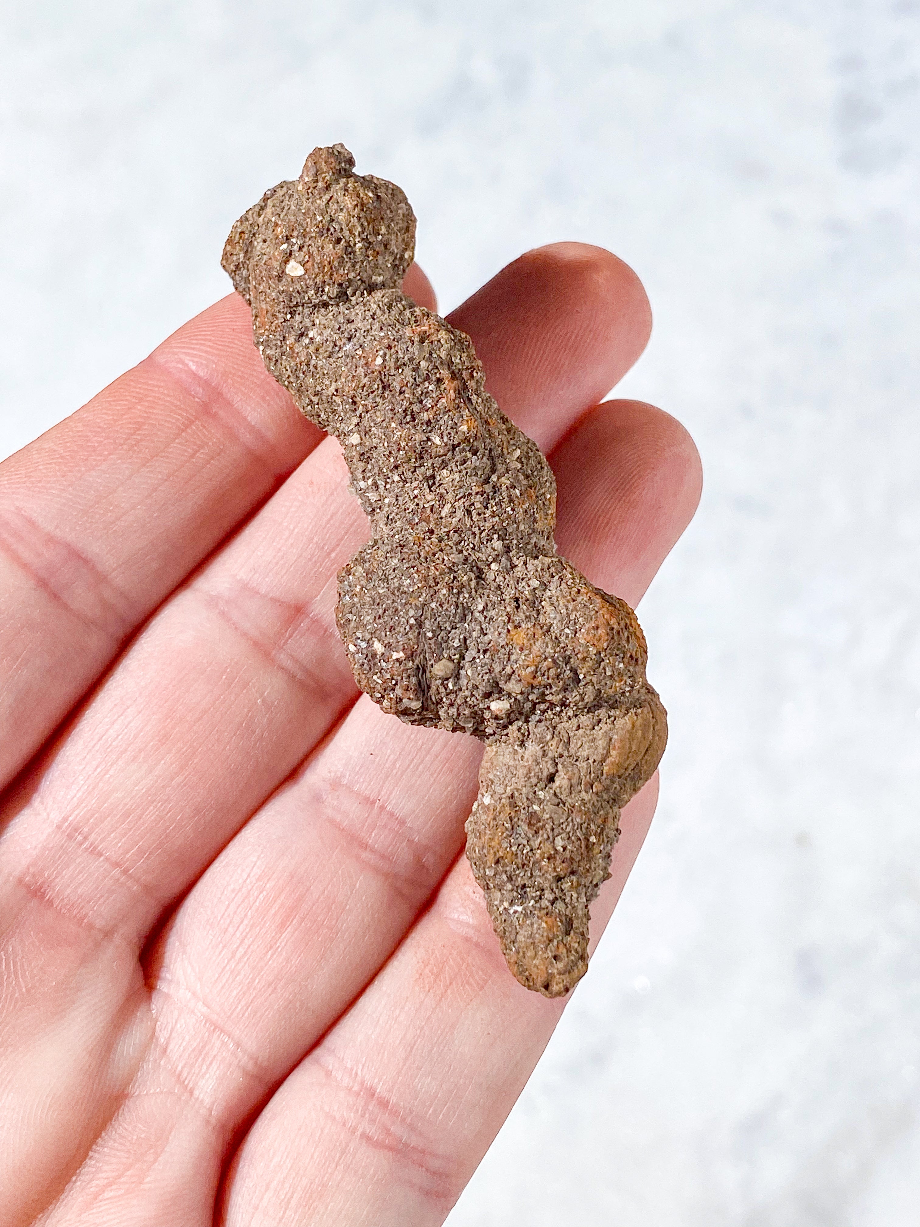 Koprolit Fossil (Nr. 8)