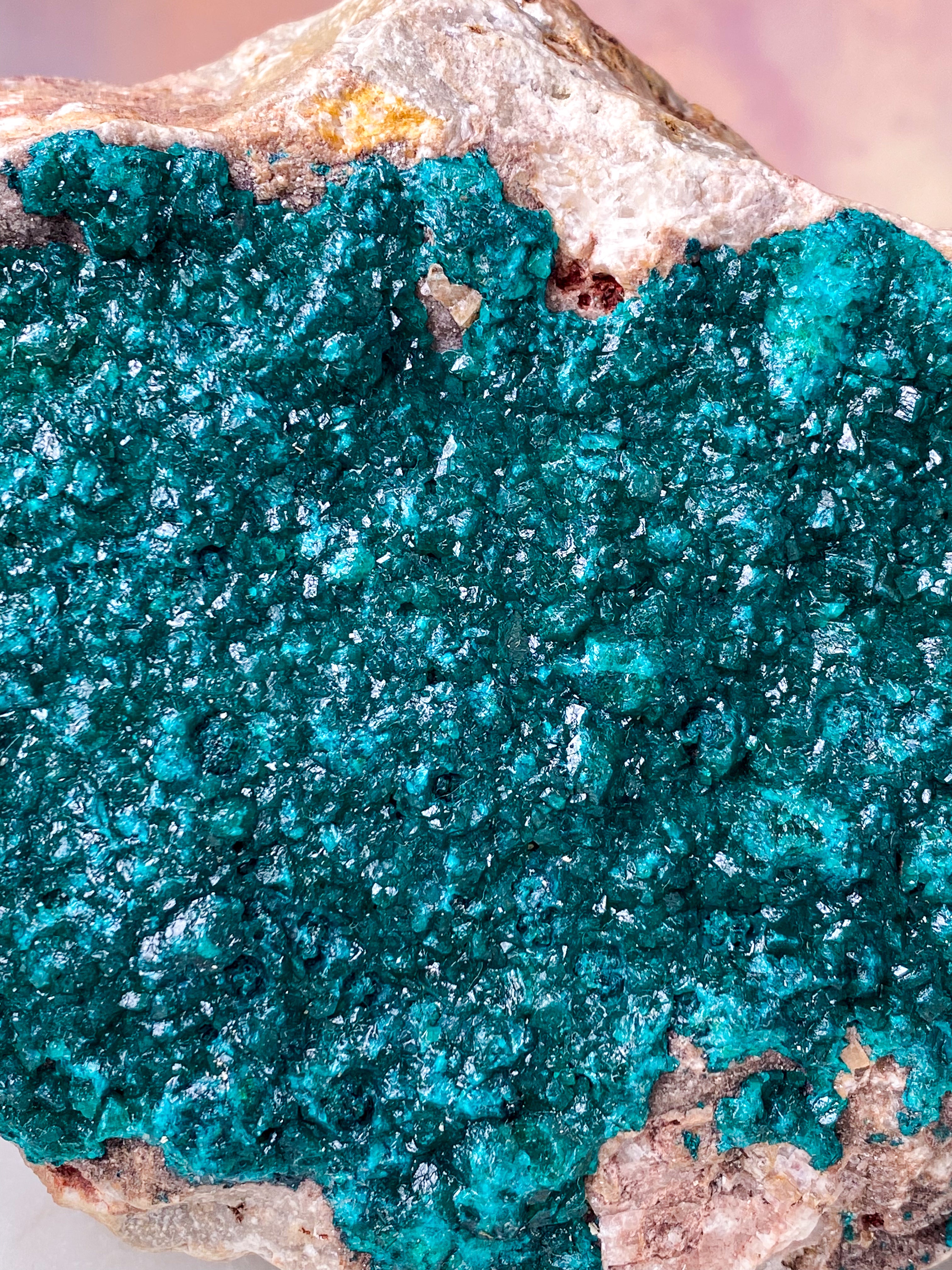 Kæmpe Dioptase Klynge (Nr. 1)