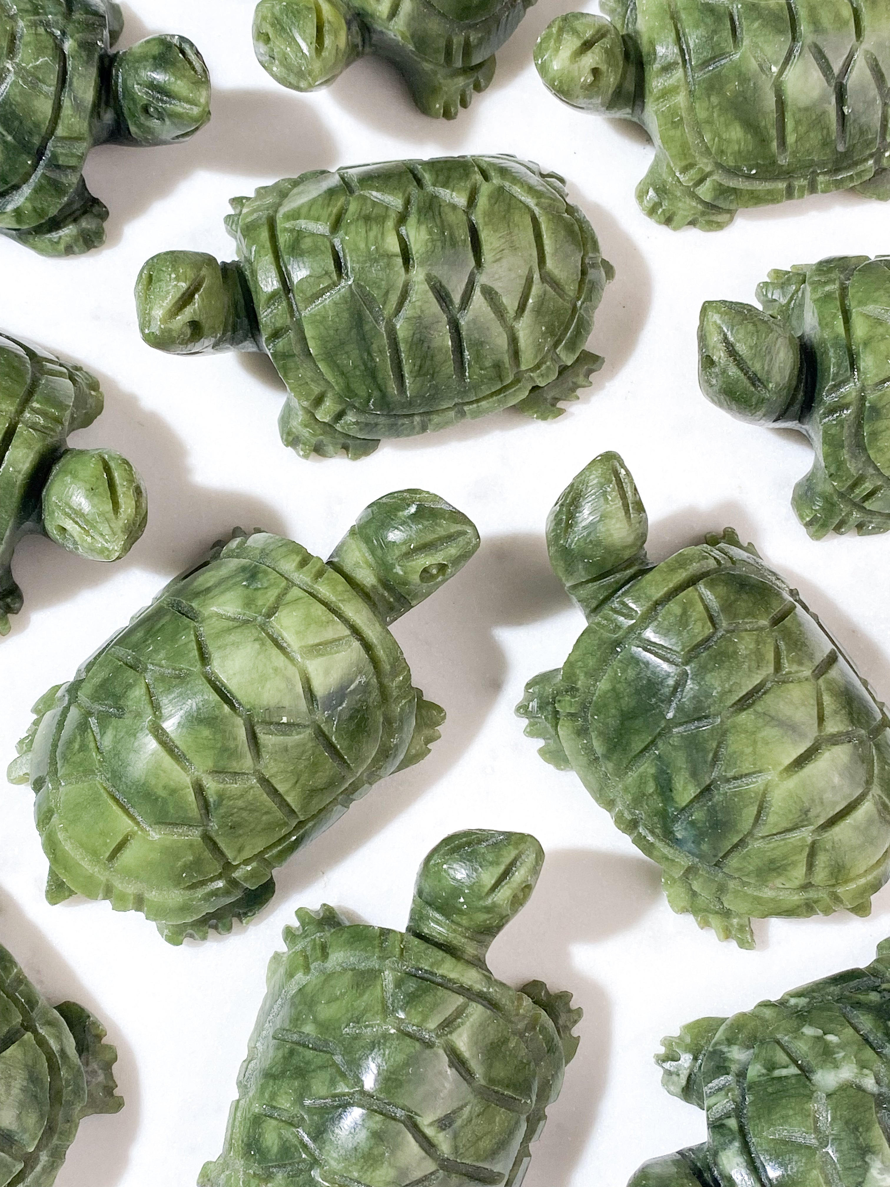 Serpentin Skildpadde
