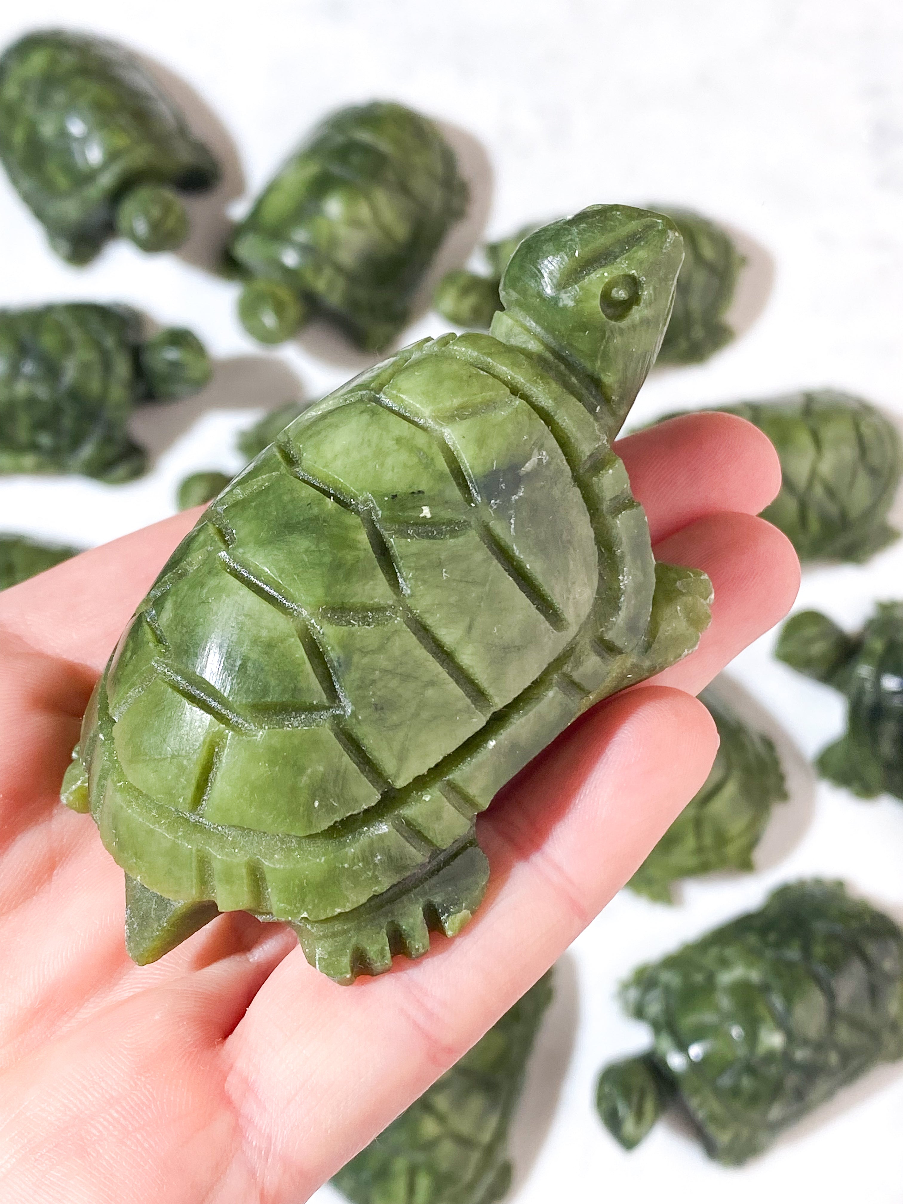 Serpentin Skildpadde
