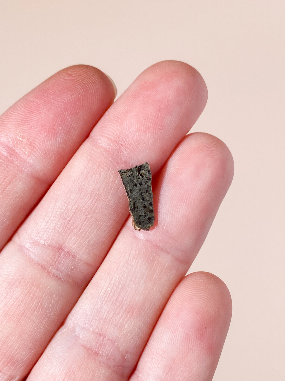 Mars Meteorit - Fragtment fra Mars (Nr. 6)