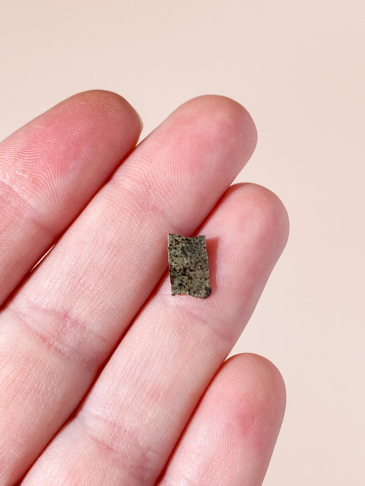Mars Meteorit - Fragtment fra Mars (Nr. 7)