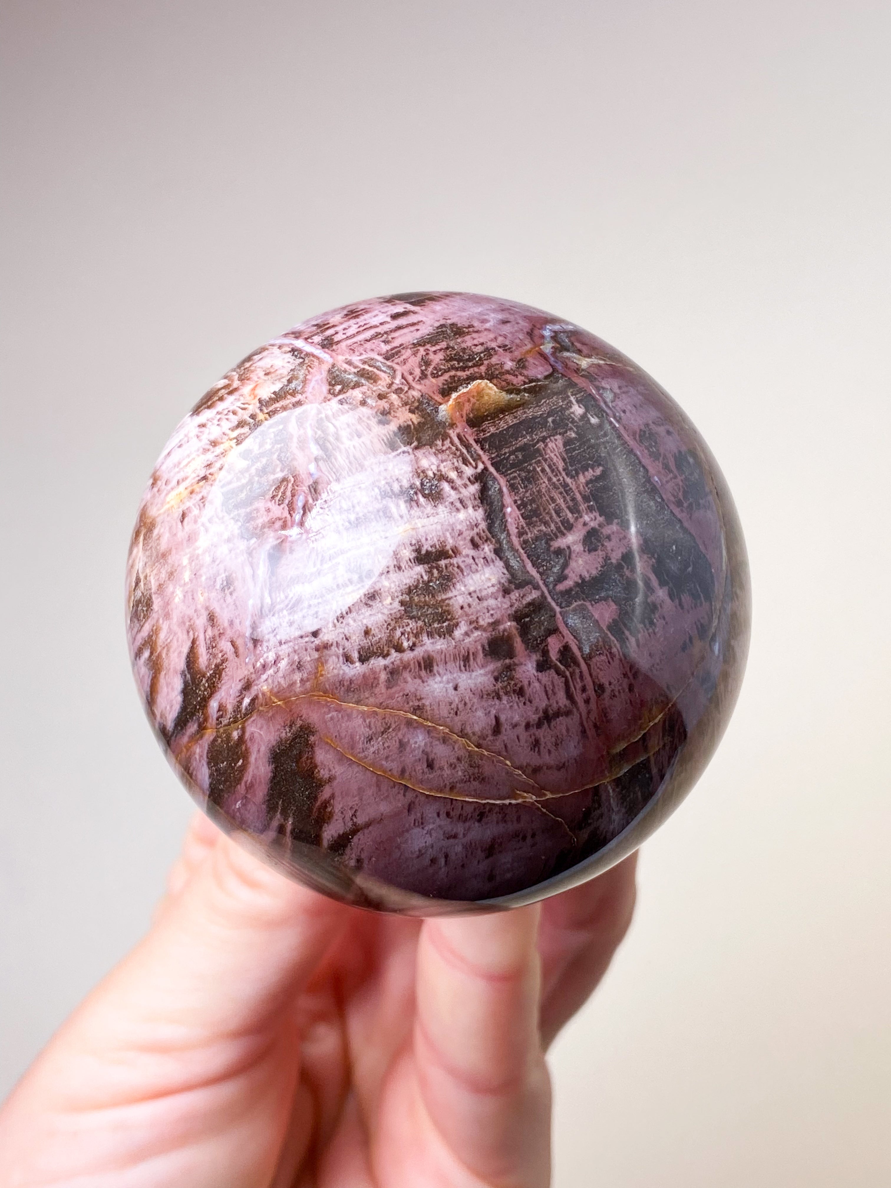 Forstenet Træ Kugle (Nr. 5)