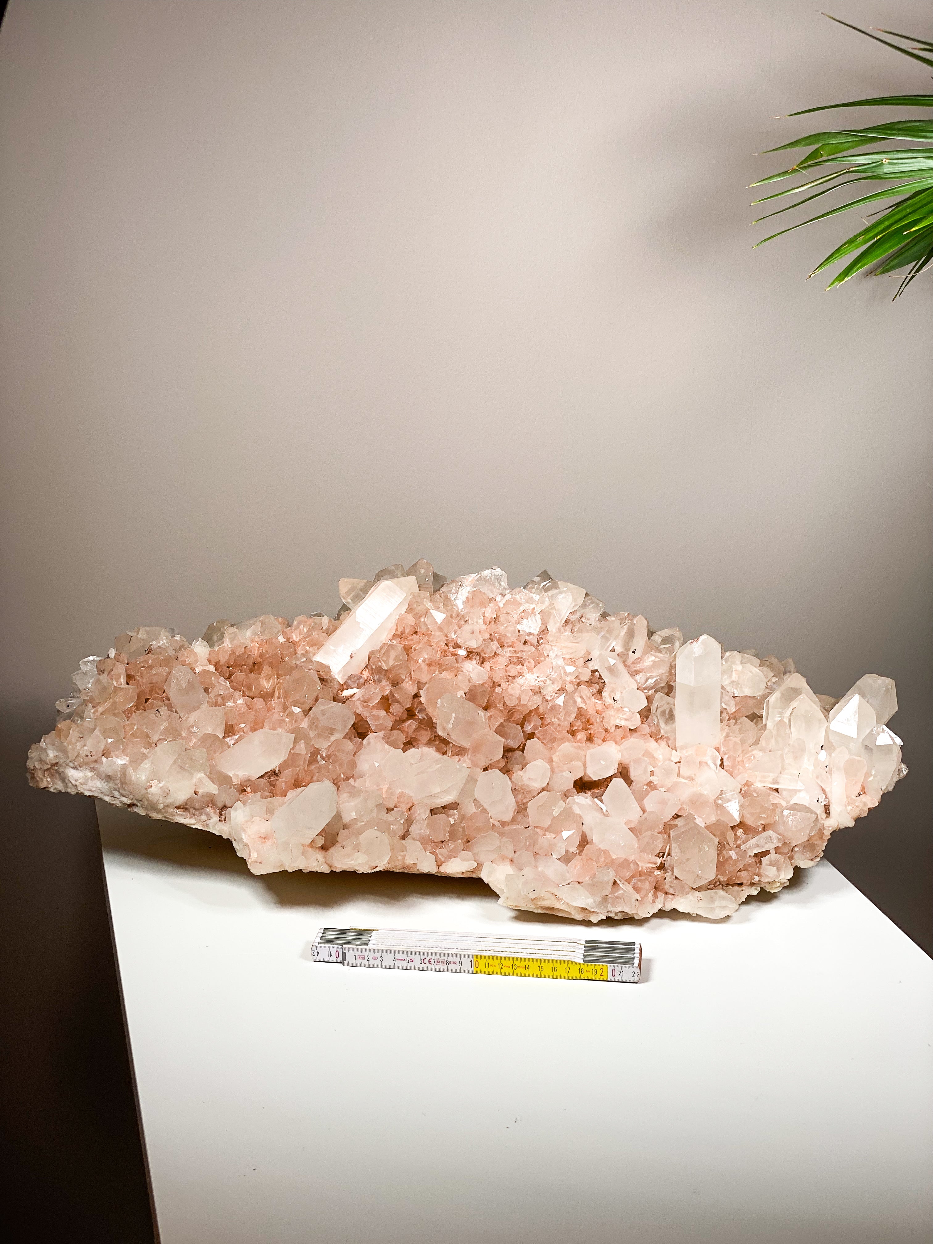 Kæmpe Pink Himalaya Klynge (59,4 kg.)