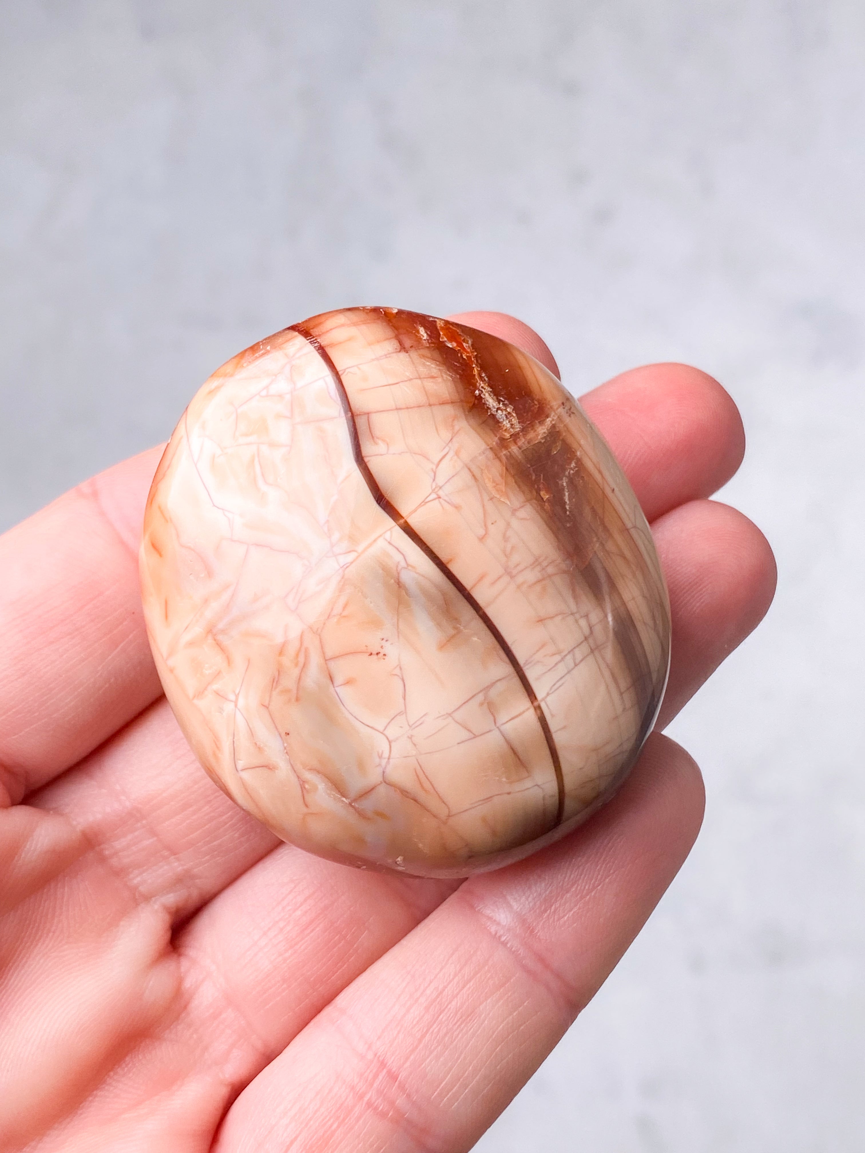 Karneol Palmstone (Nr. 9)