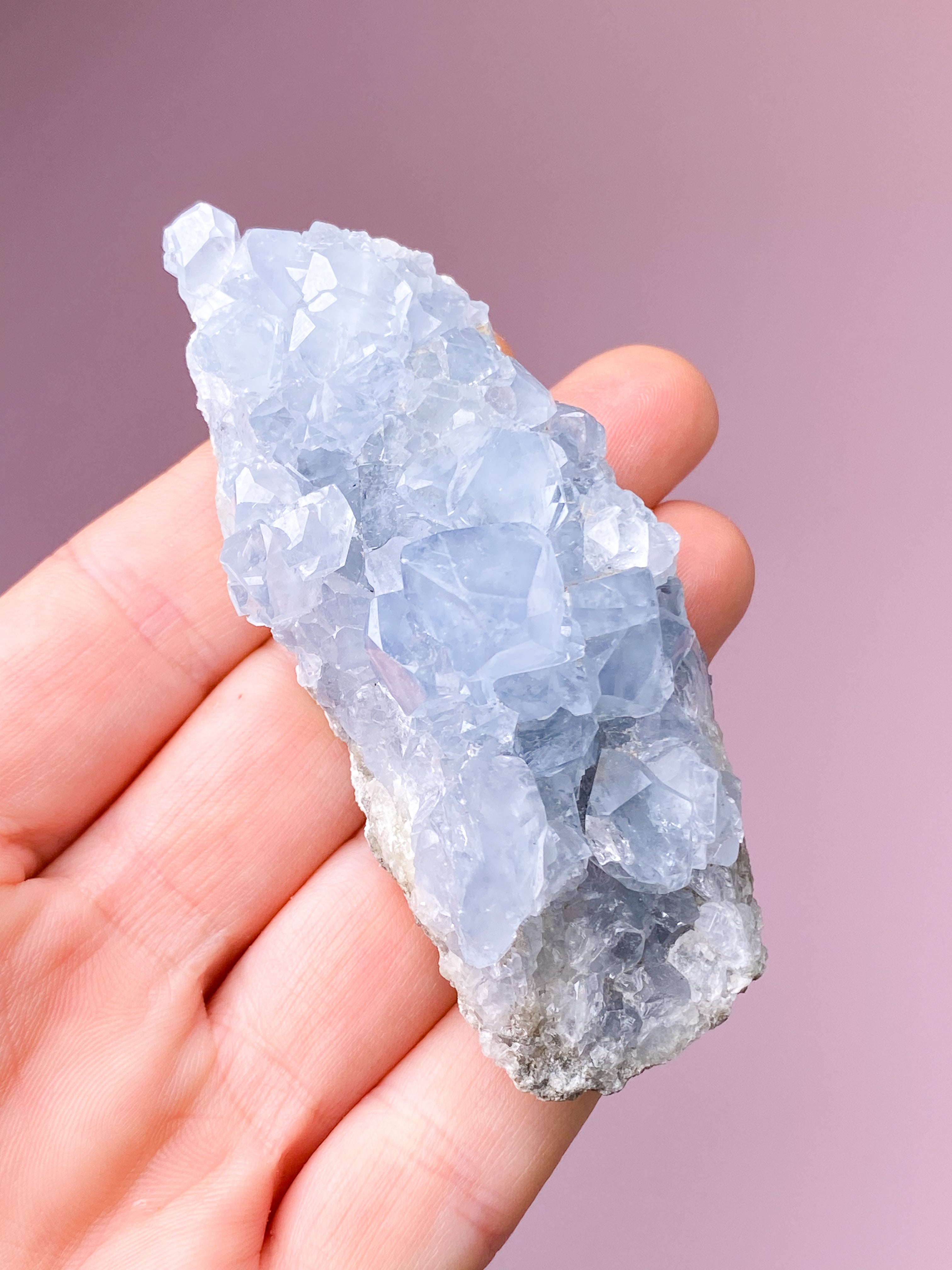 Celestit Cluster (nr 4)