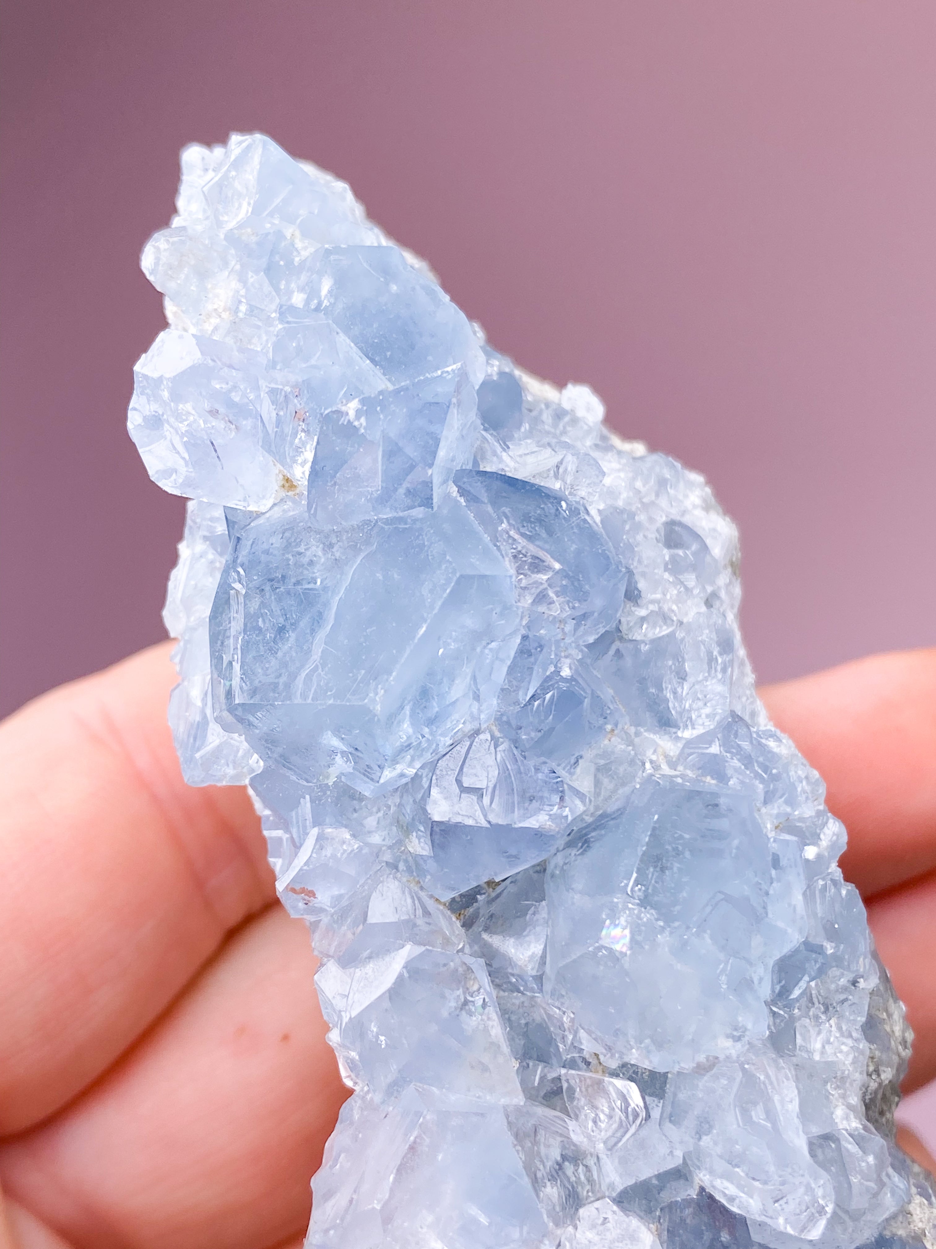 Celestit Cluster (nr 4)