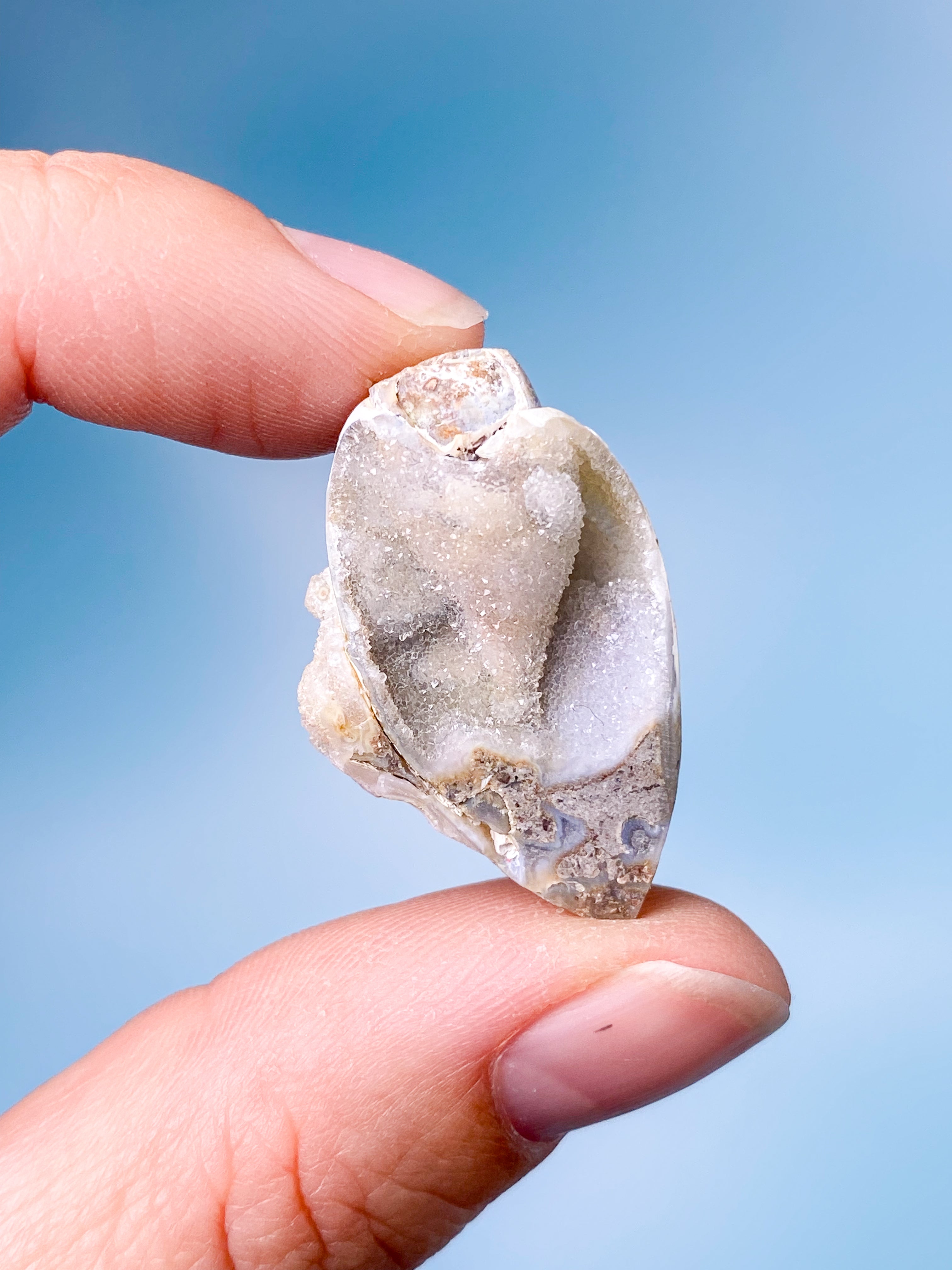 Druzy Konkylie Fossil (Nr. 8)