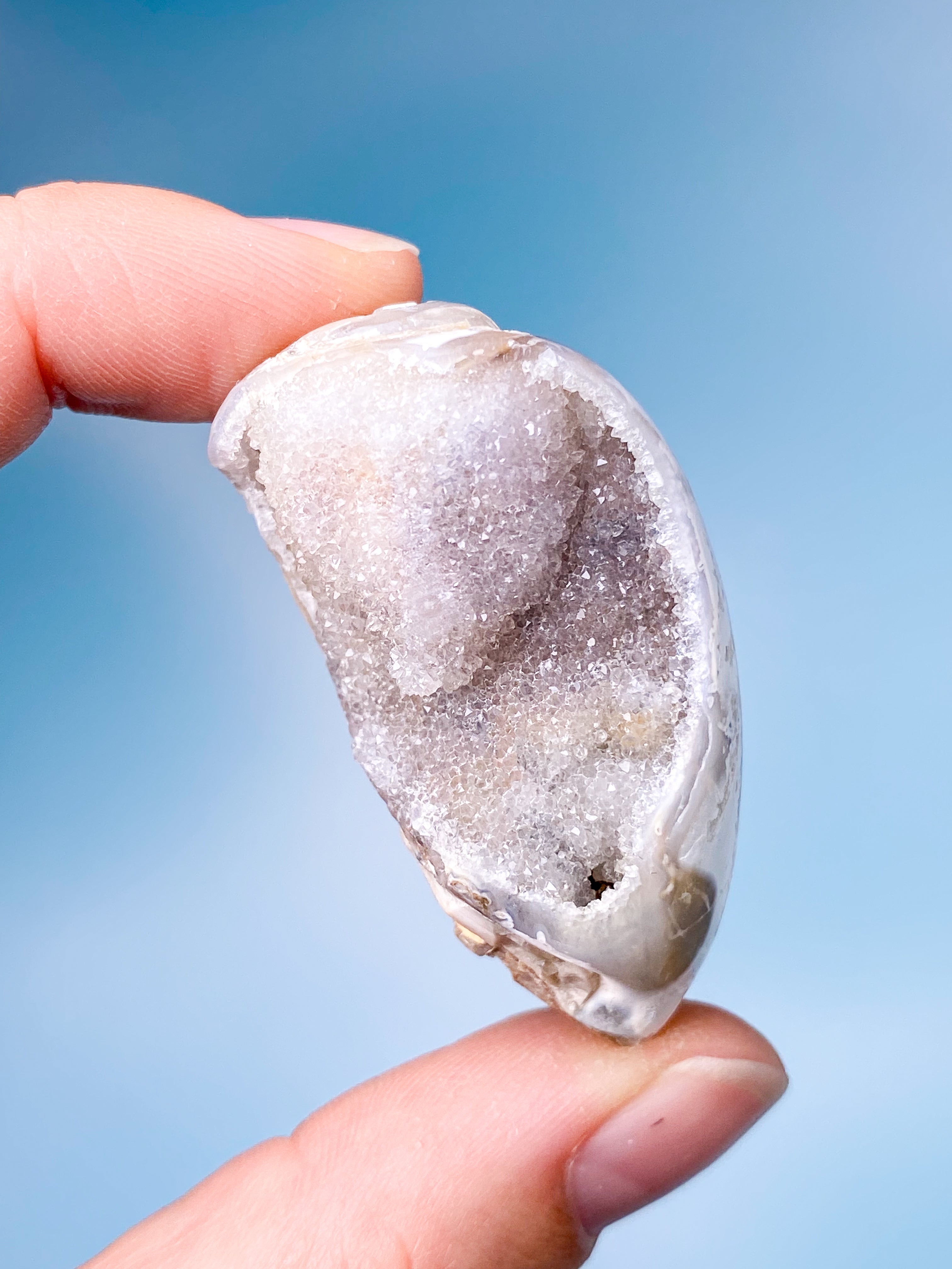 Druzy Konkylie Fossil (Nr. 13)