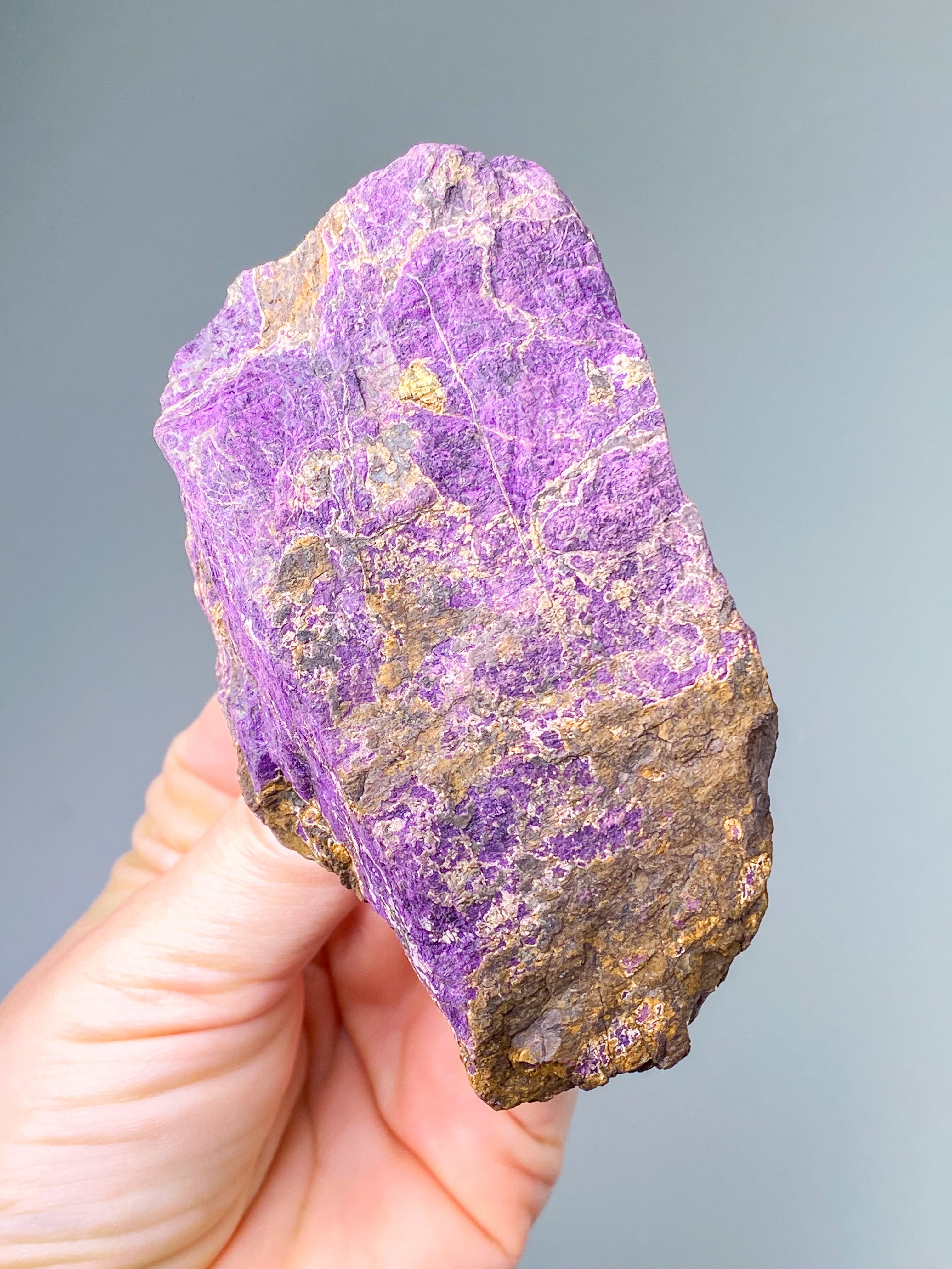 Purpuritpolerad (nr 1)