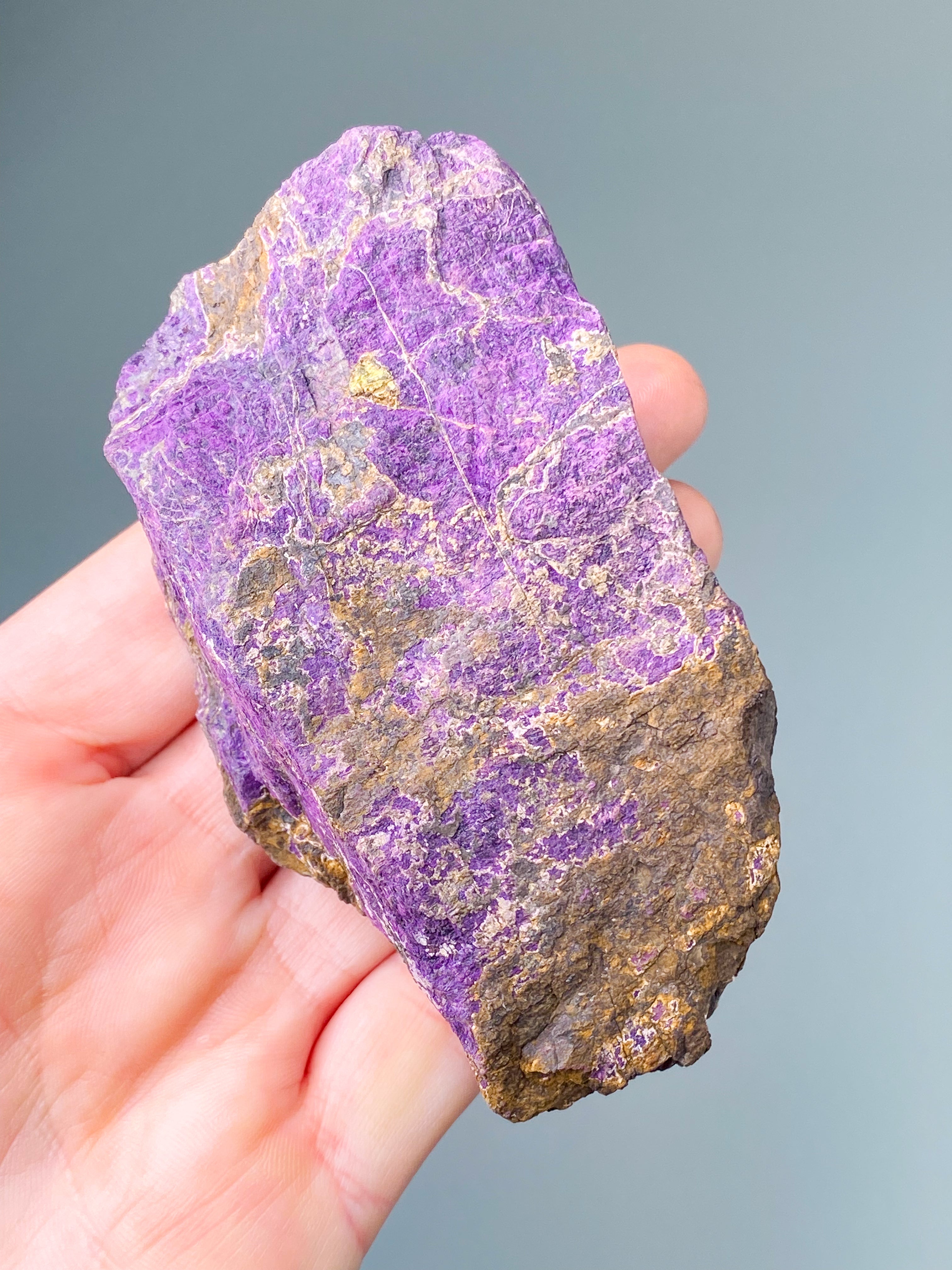 Purpuritpolerad (nr 1)