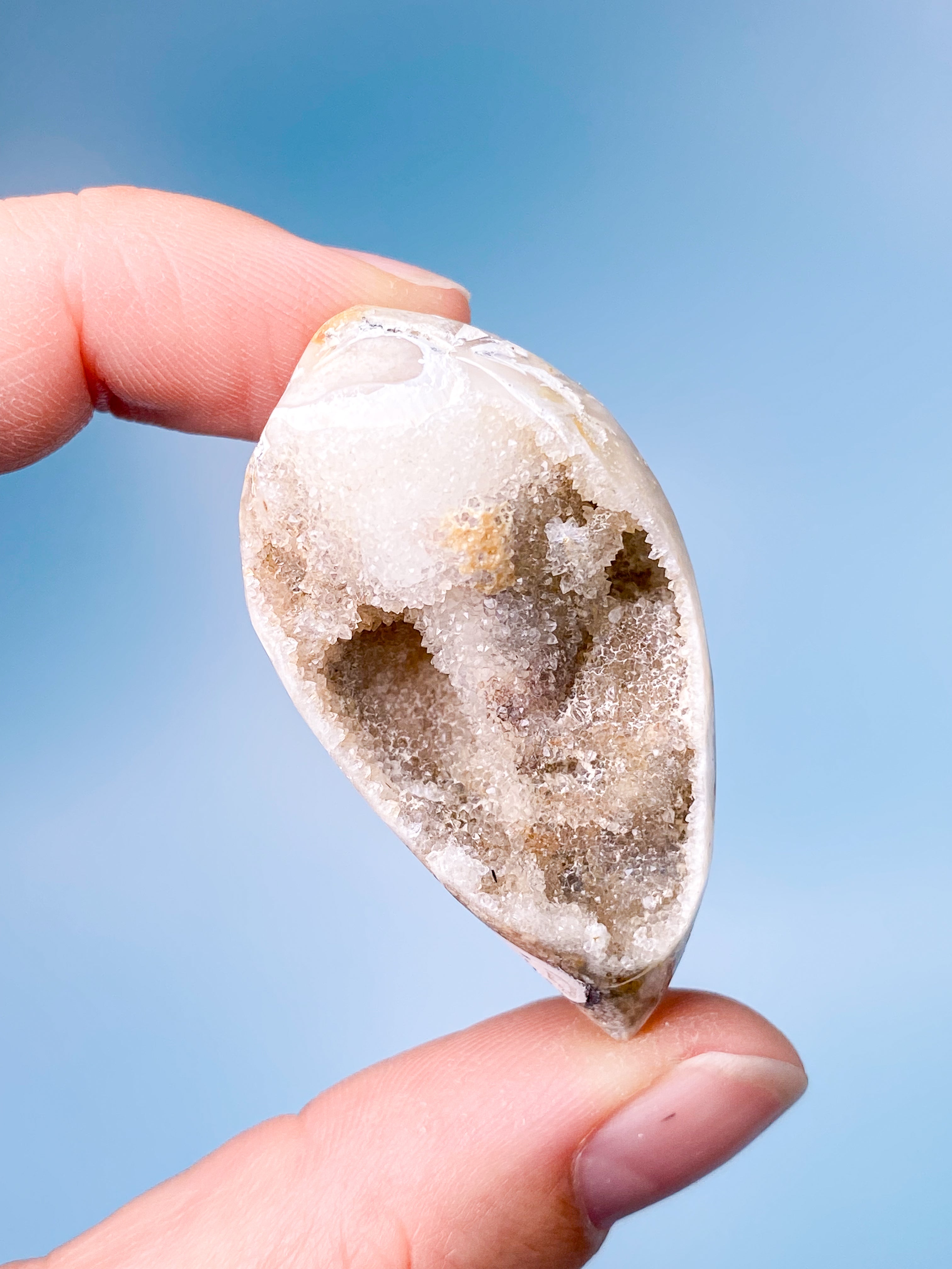 Druzy Konkylie Fossil (Nr. 17)