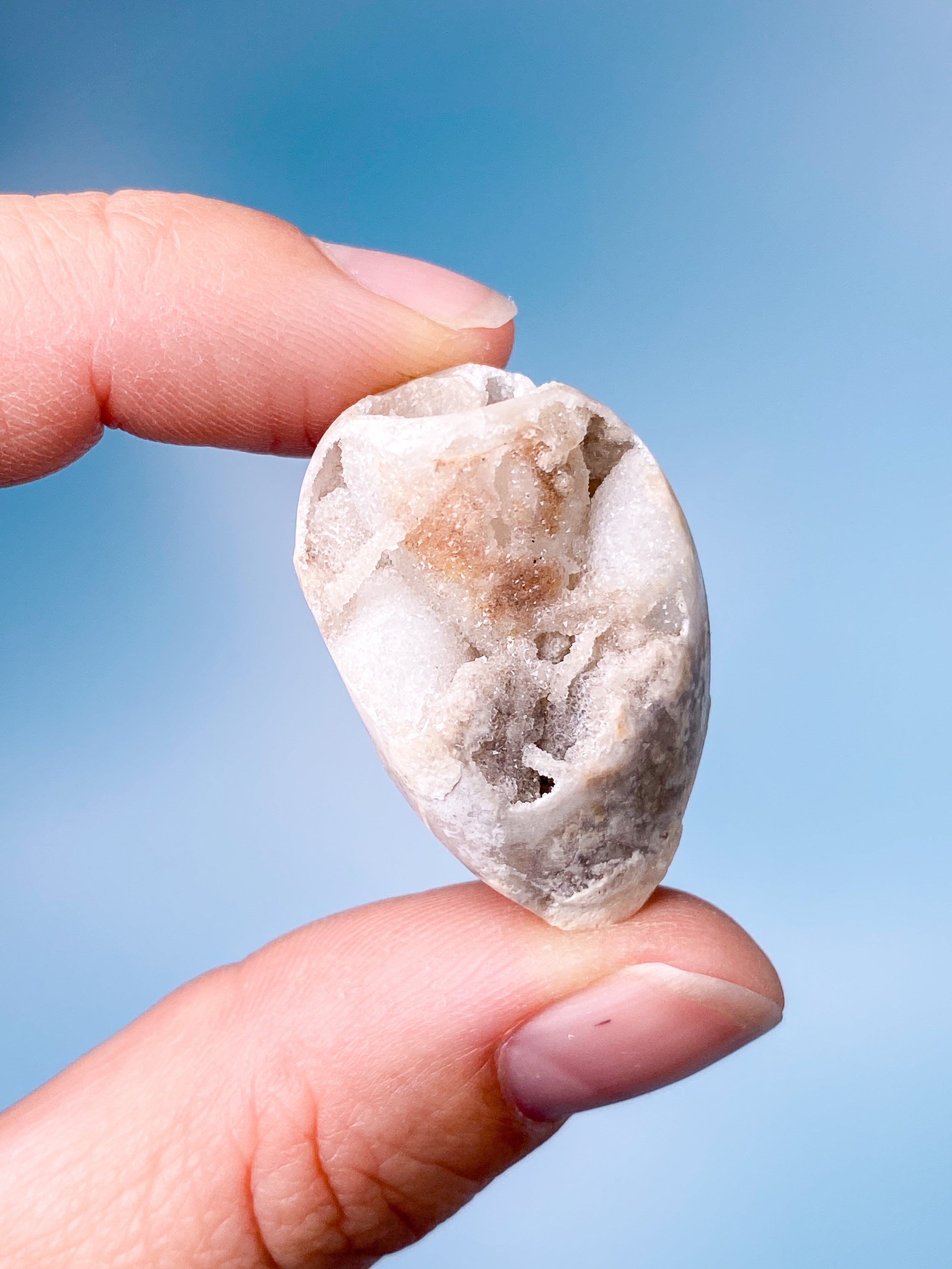 Druzy Konkylie Fossil (Nr. 20)