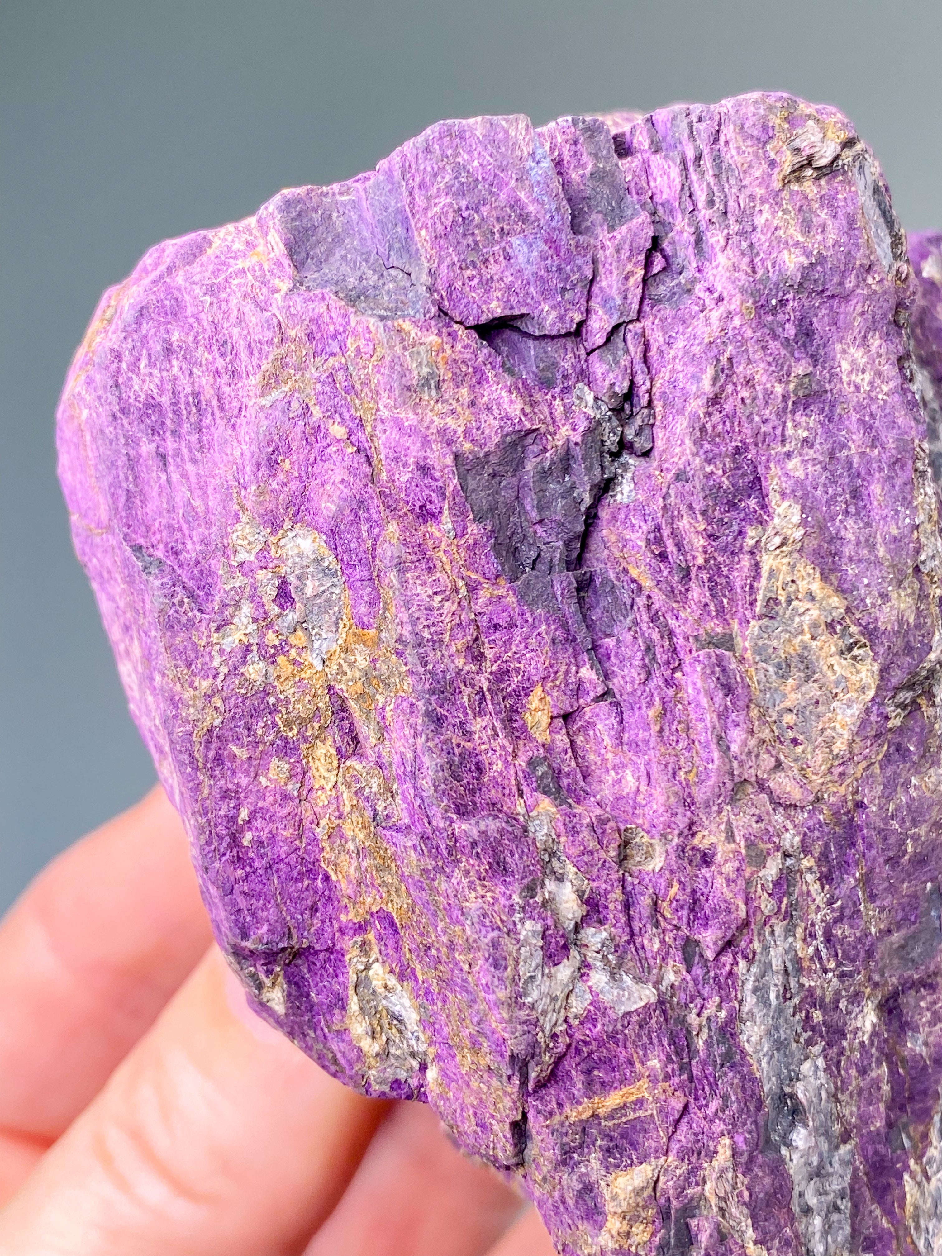 Purpuritpolerad (nr 1)