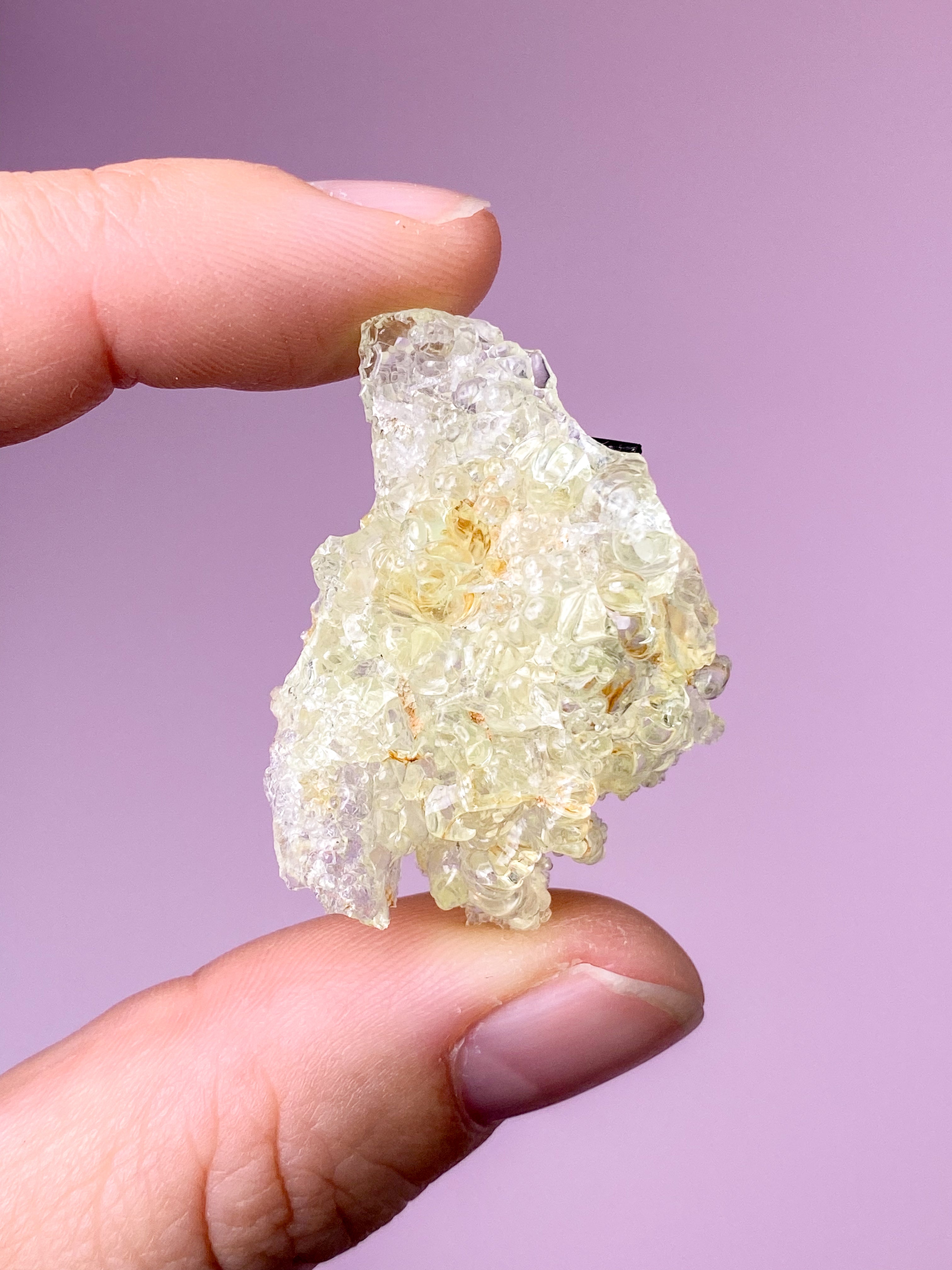 Hyalit Opal (Nr. 24)
