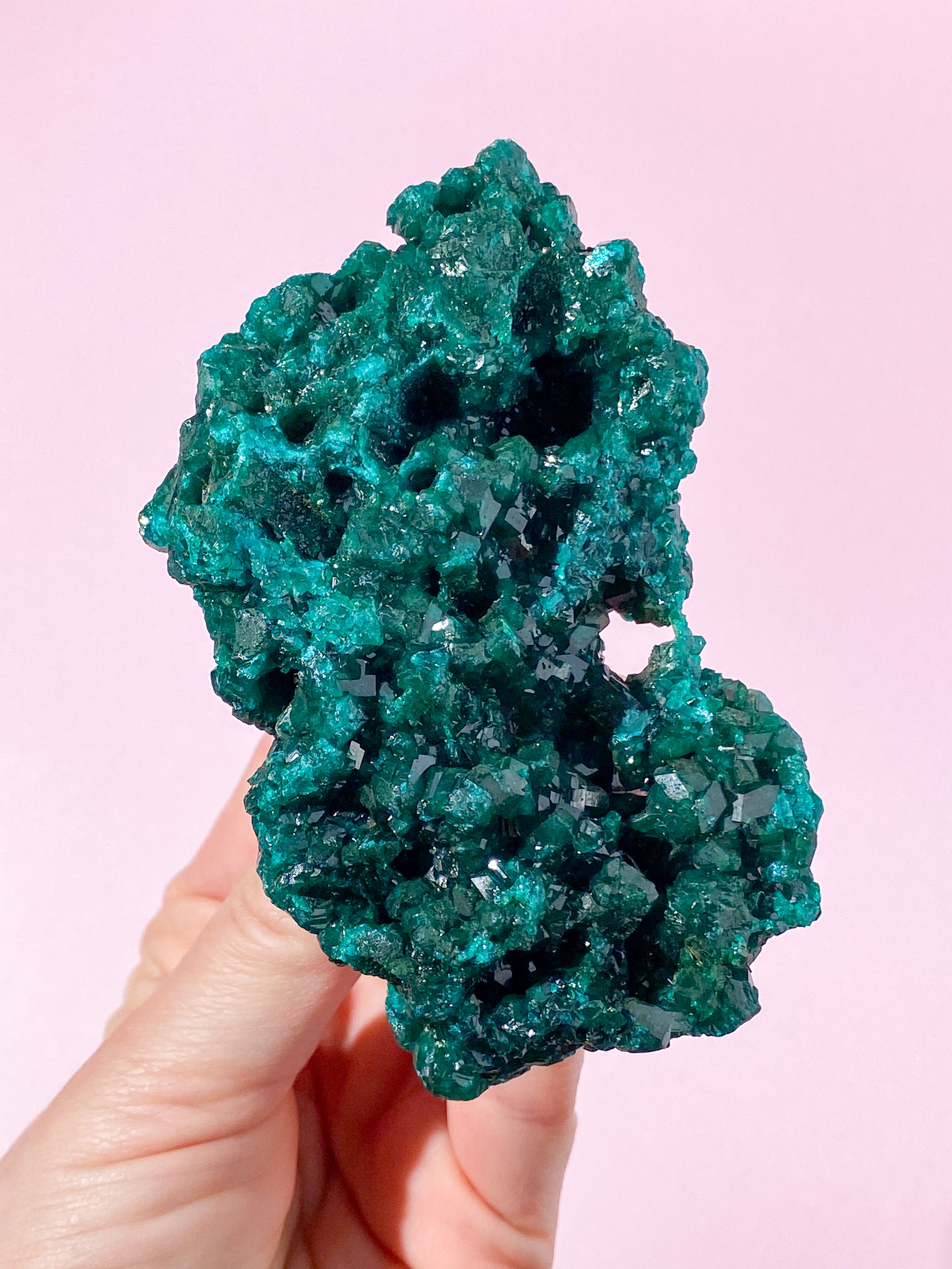 Kæmpe Dioptase Klynge (Nr. 24) Eksklusiv Kvalitet
