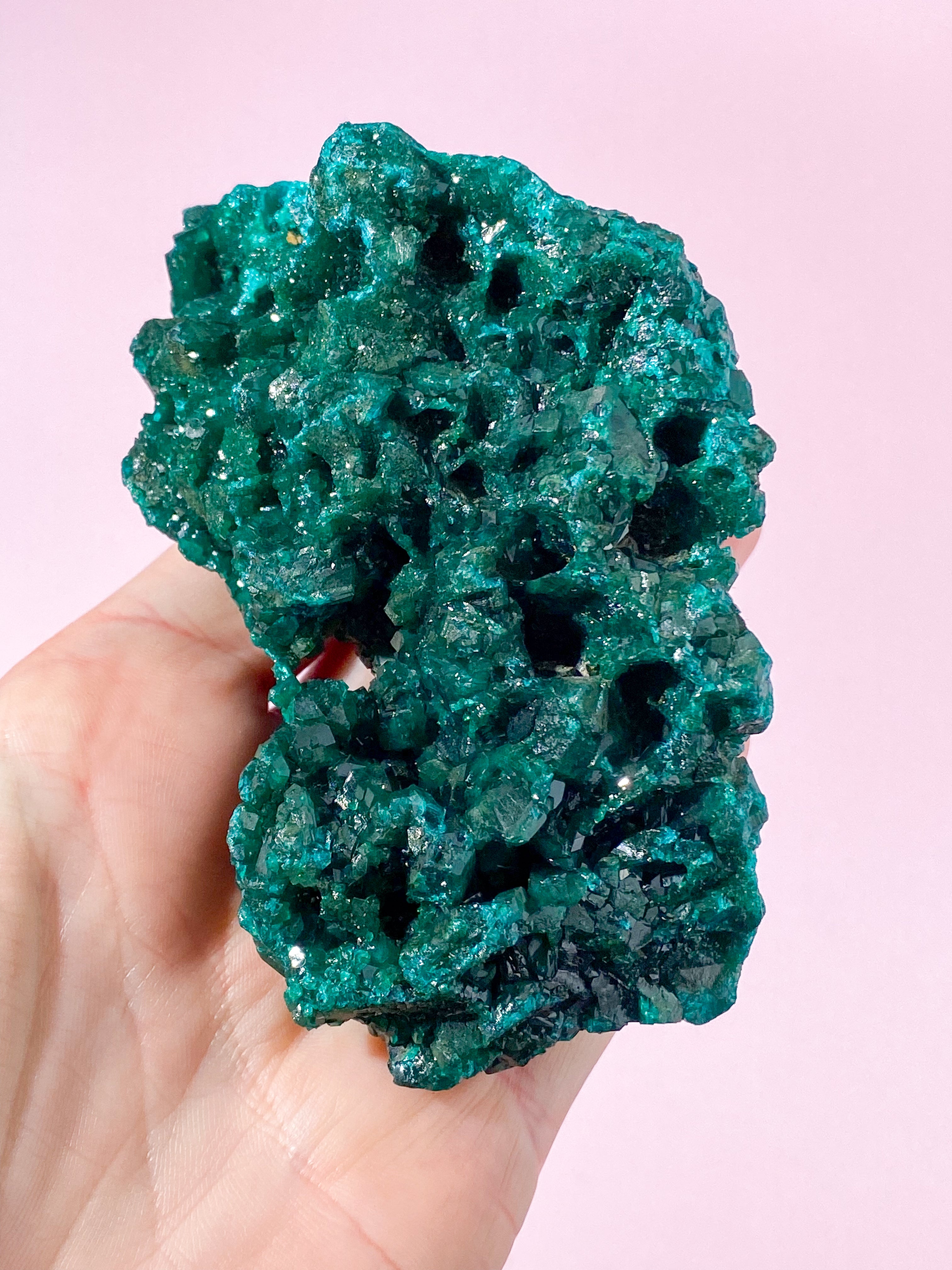 Kæmpe Dioptase Klynge (Nr. 24) Eksklusiv Kvalitet