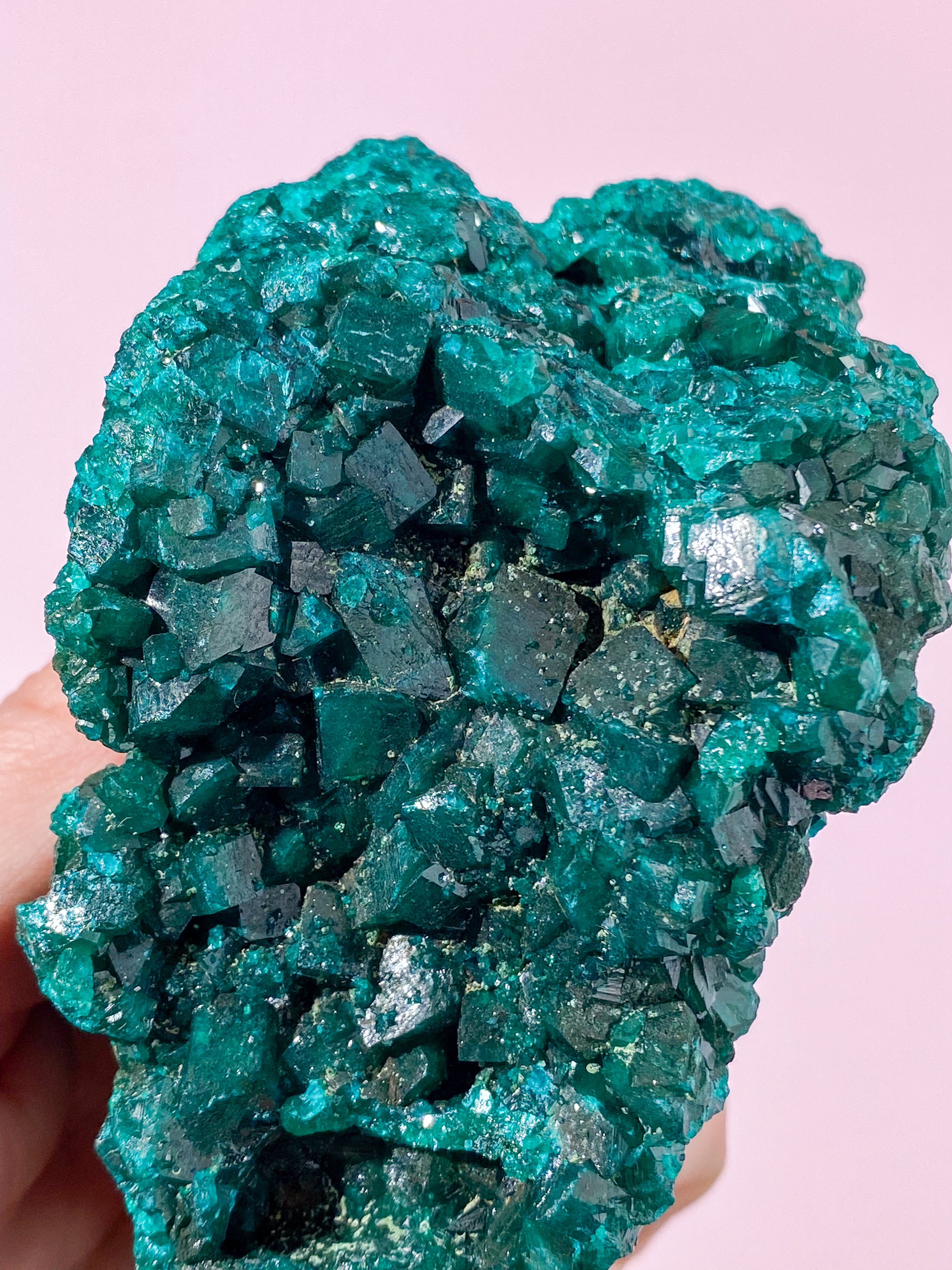 Kæmpe Dioptase Klynge (Nr. 24) Eksklusiv Kvalitet