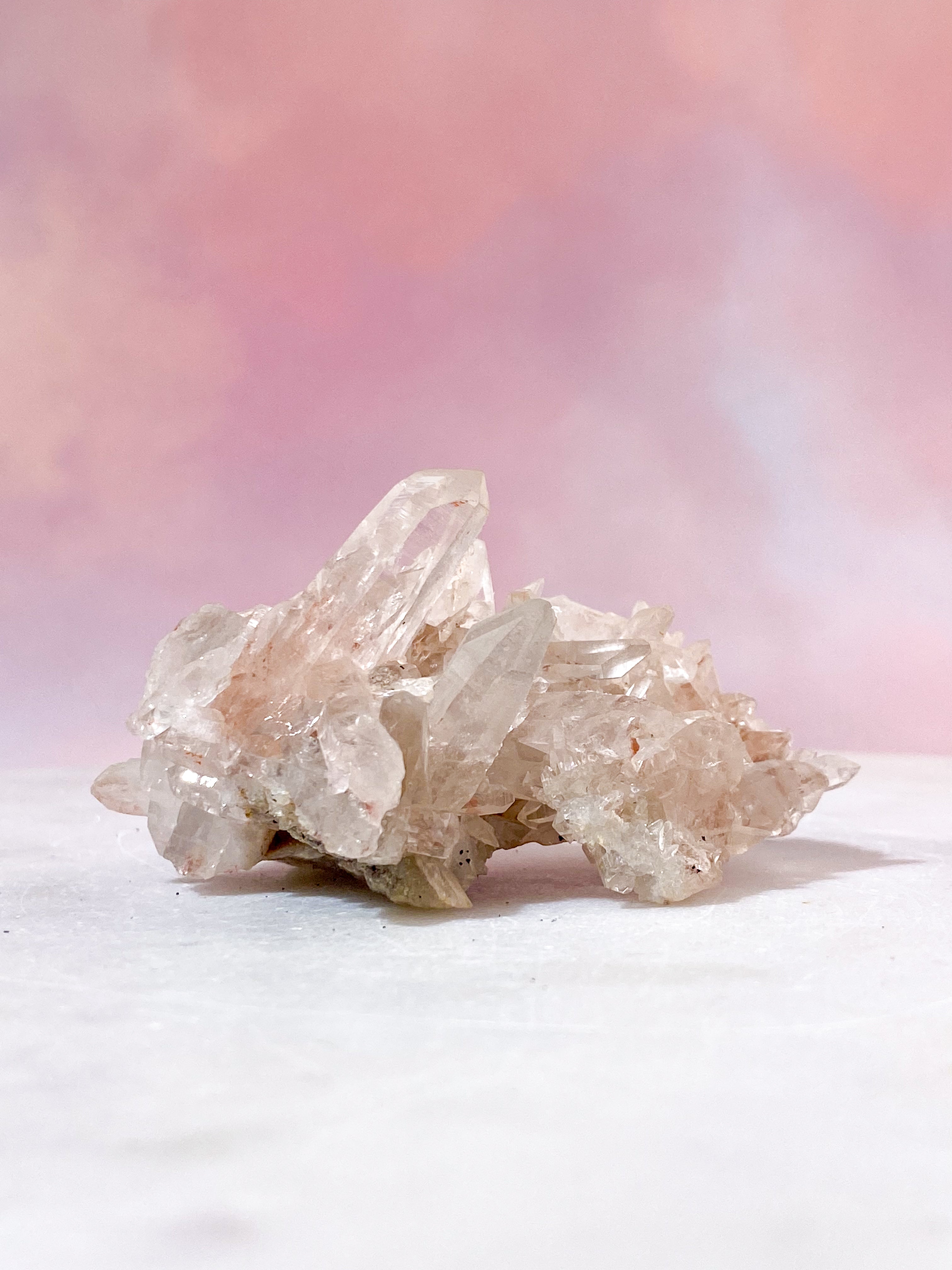 Pink Himalaya Klynge (Nr. 139)