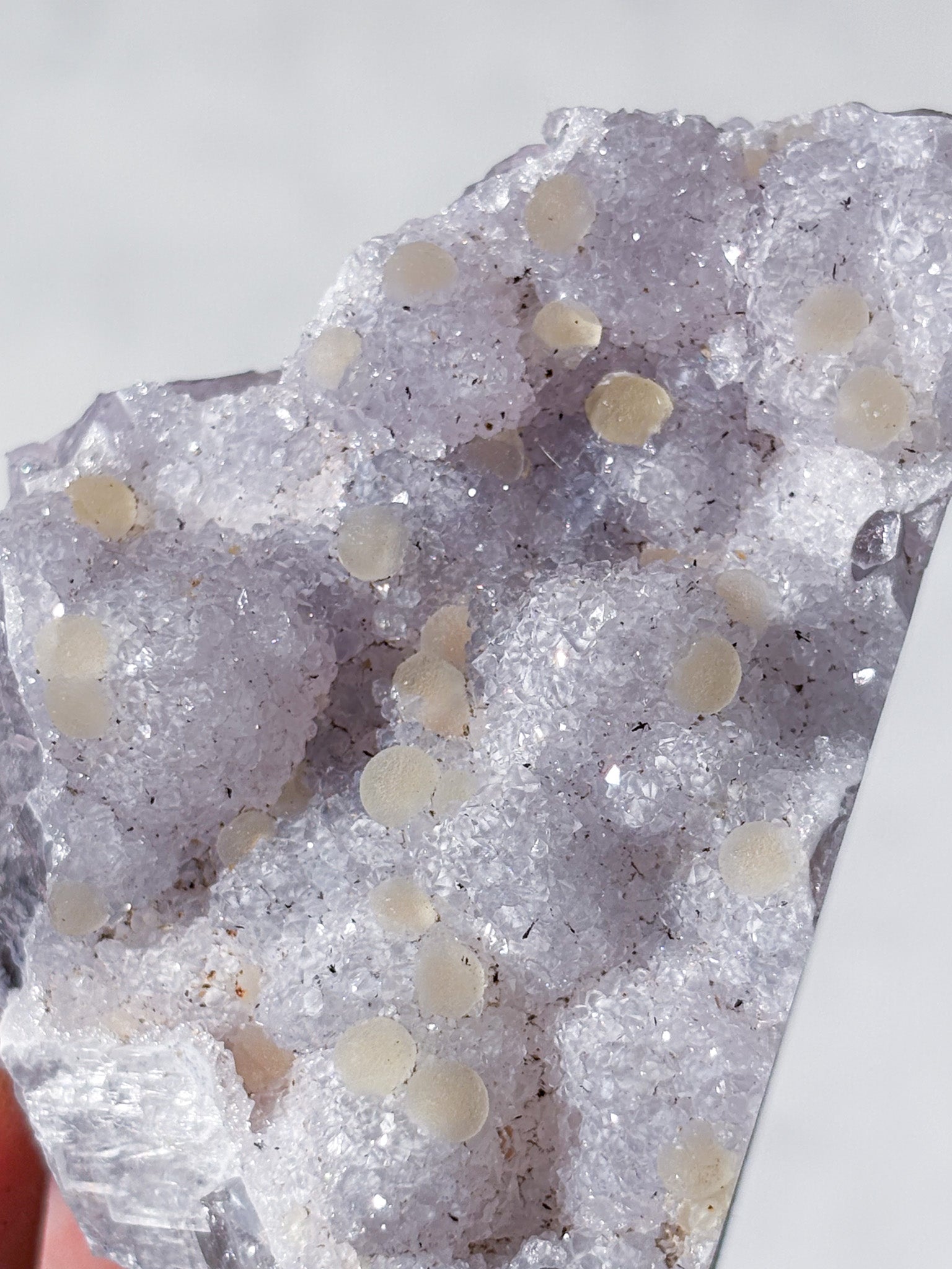 Sugar Ametyst Klynge (Nr. 22)