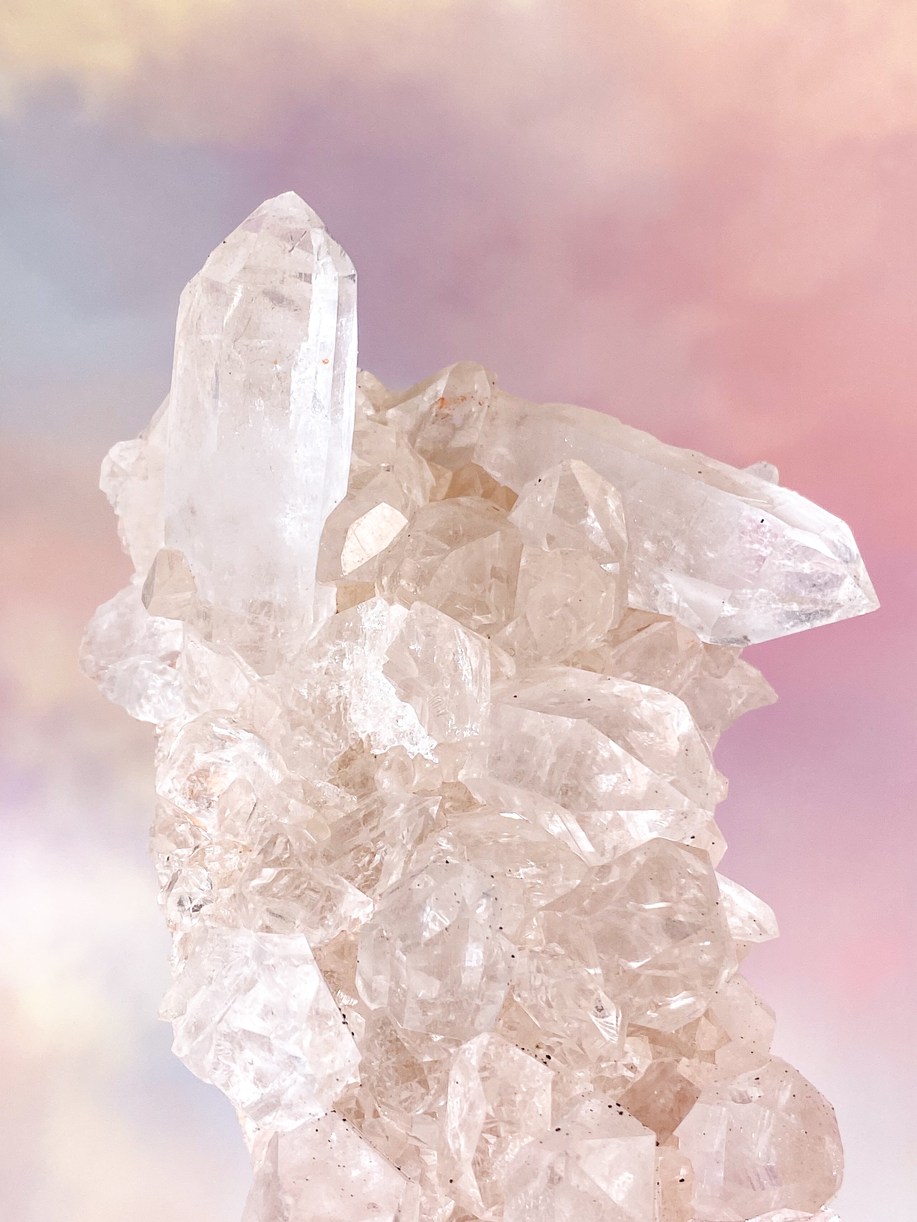Pink Himalaya Klynge (Nr. 154)