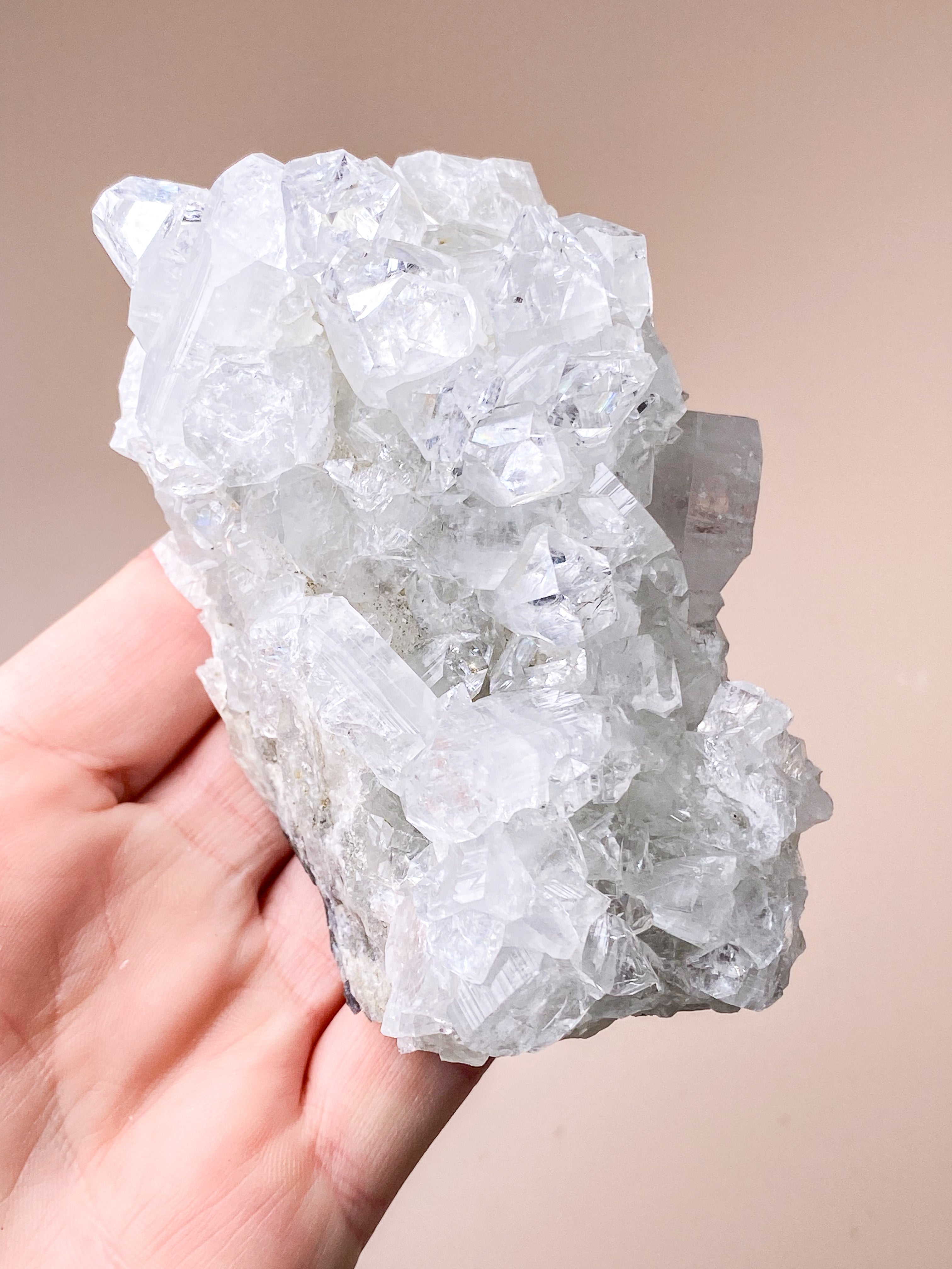 Apophyllit Klynge (Nr. 61)