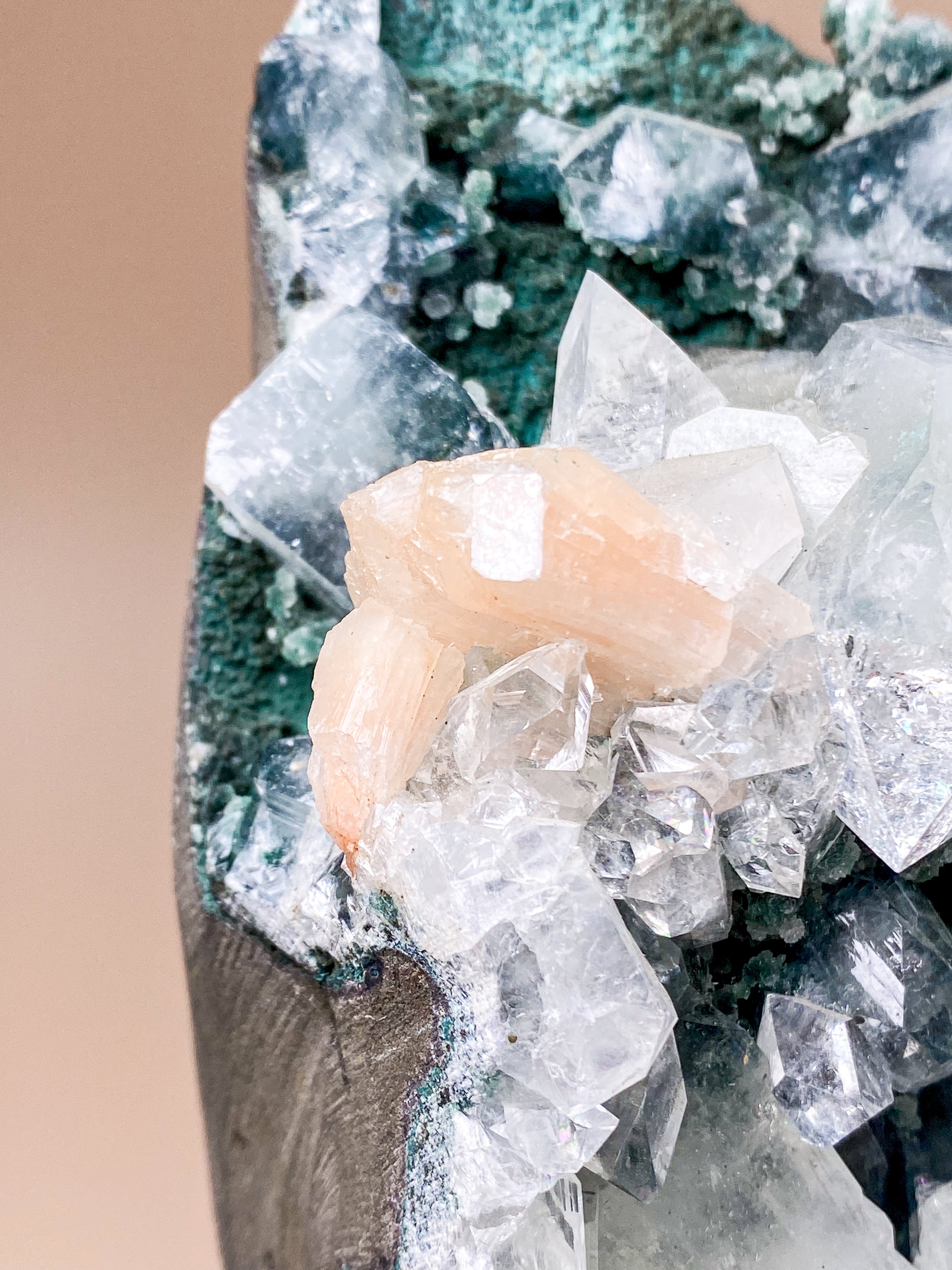 Kæmpe Stående Apophyllit (Nr. 1)