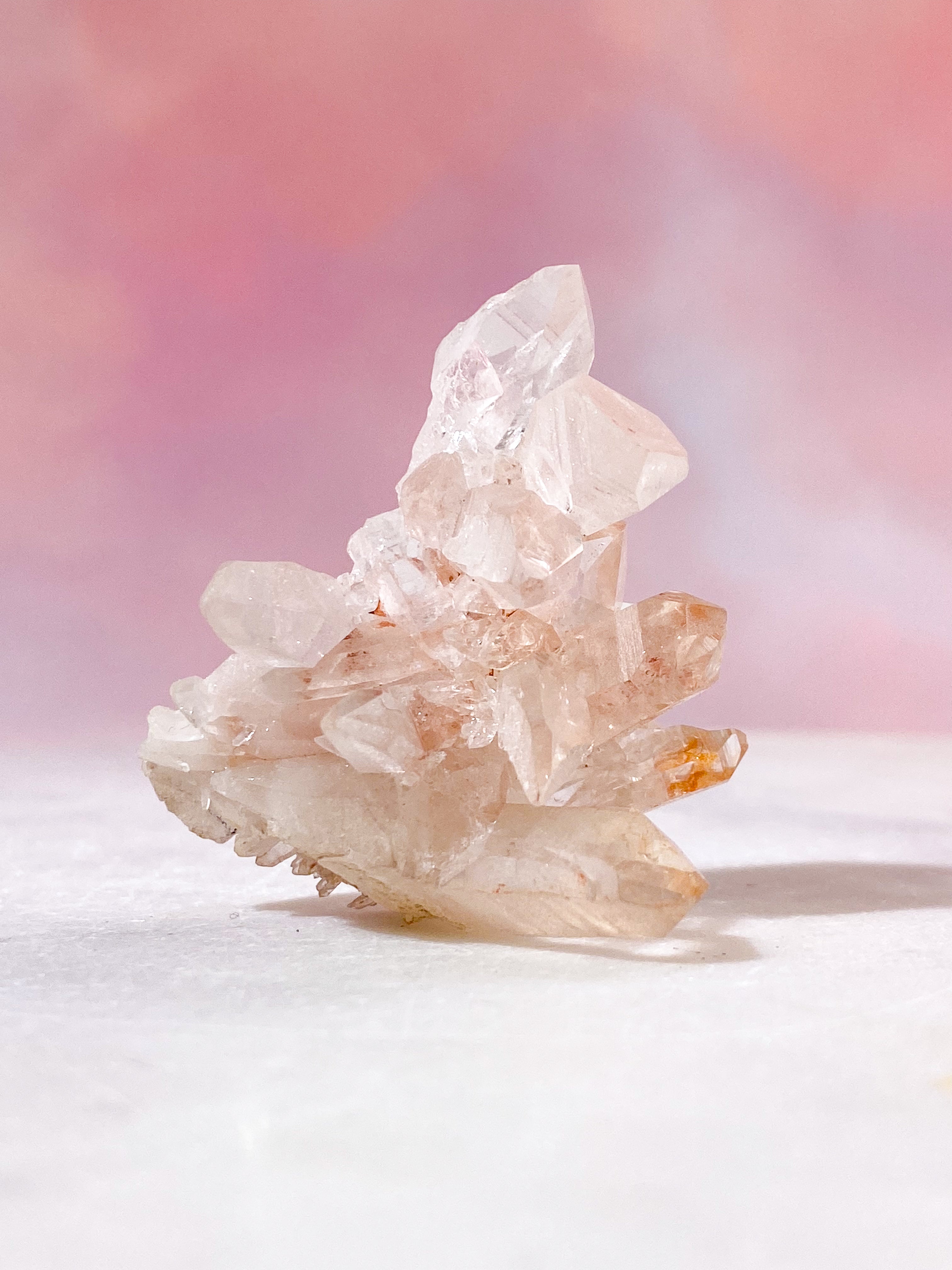 Pink Himalaya Klynge (Nr. 193)