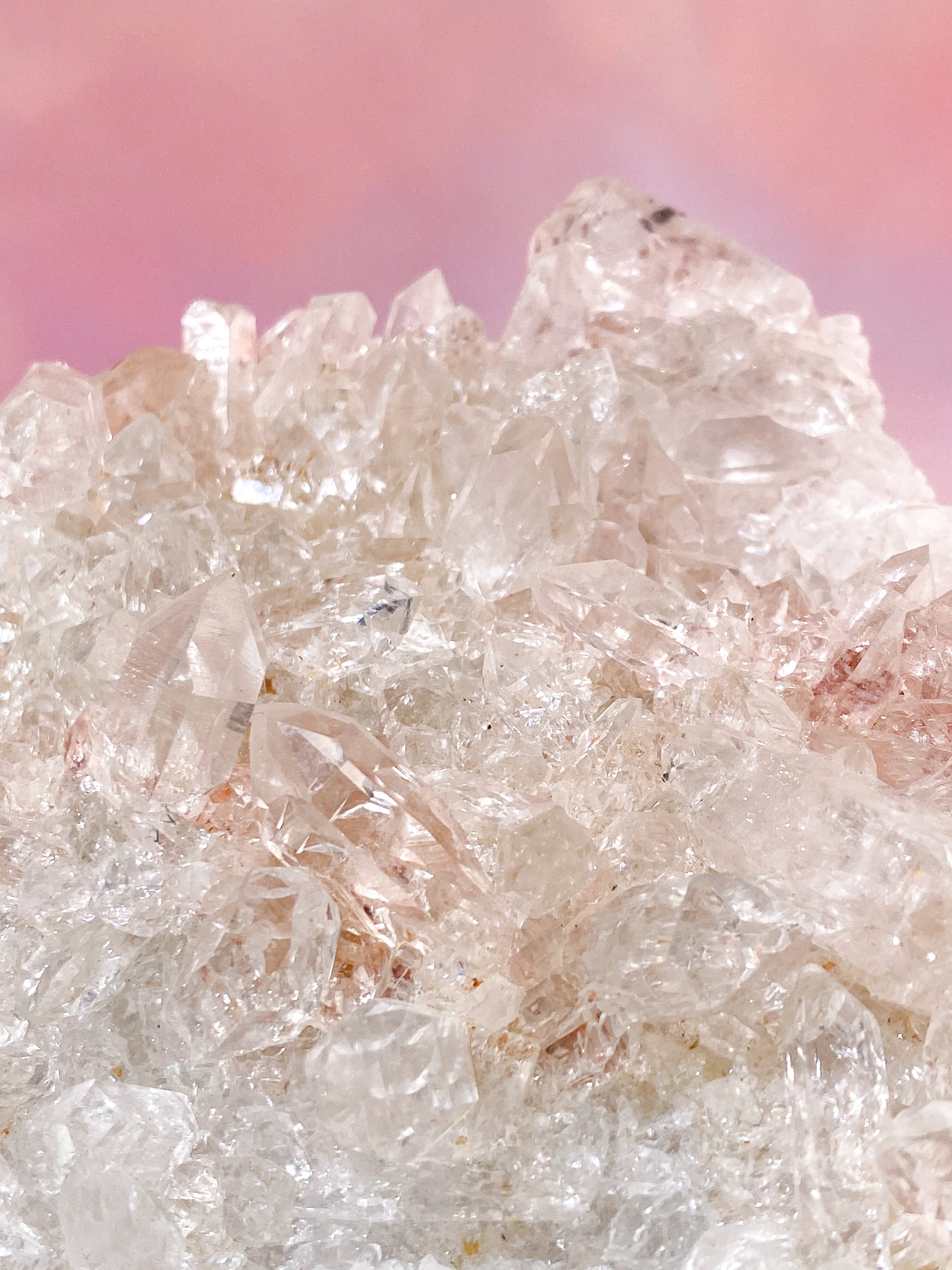 Pink Himalaya Klynge (Nr. 205)