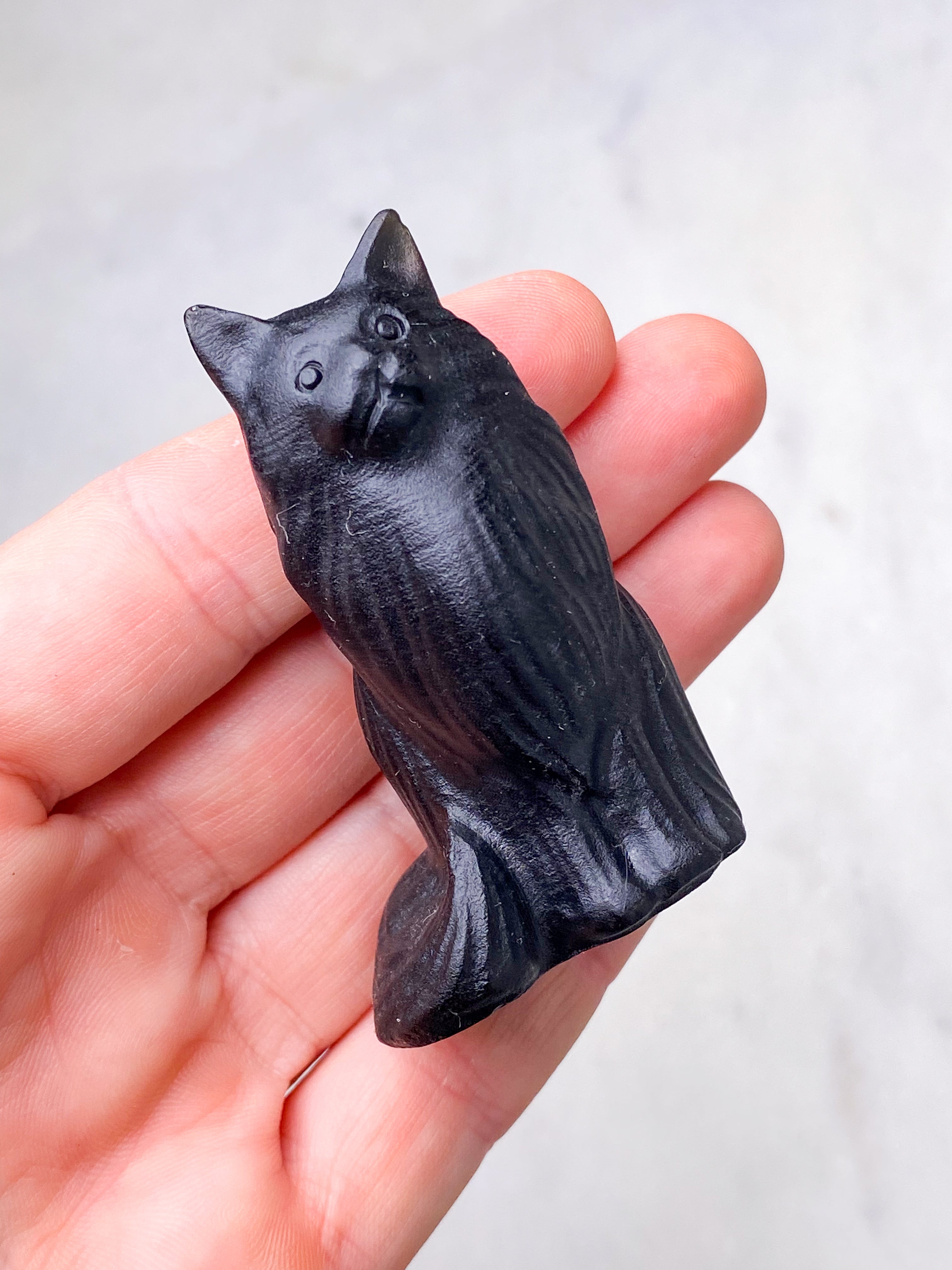 Obsidian Langhåret Kat