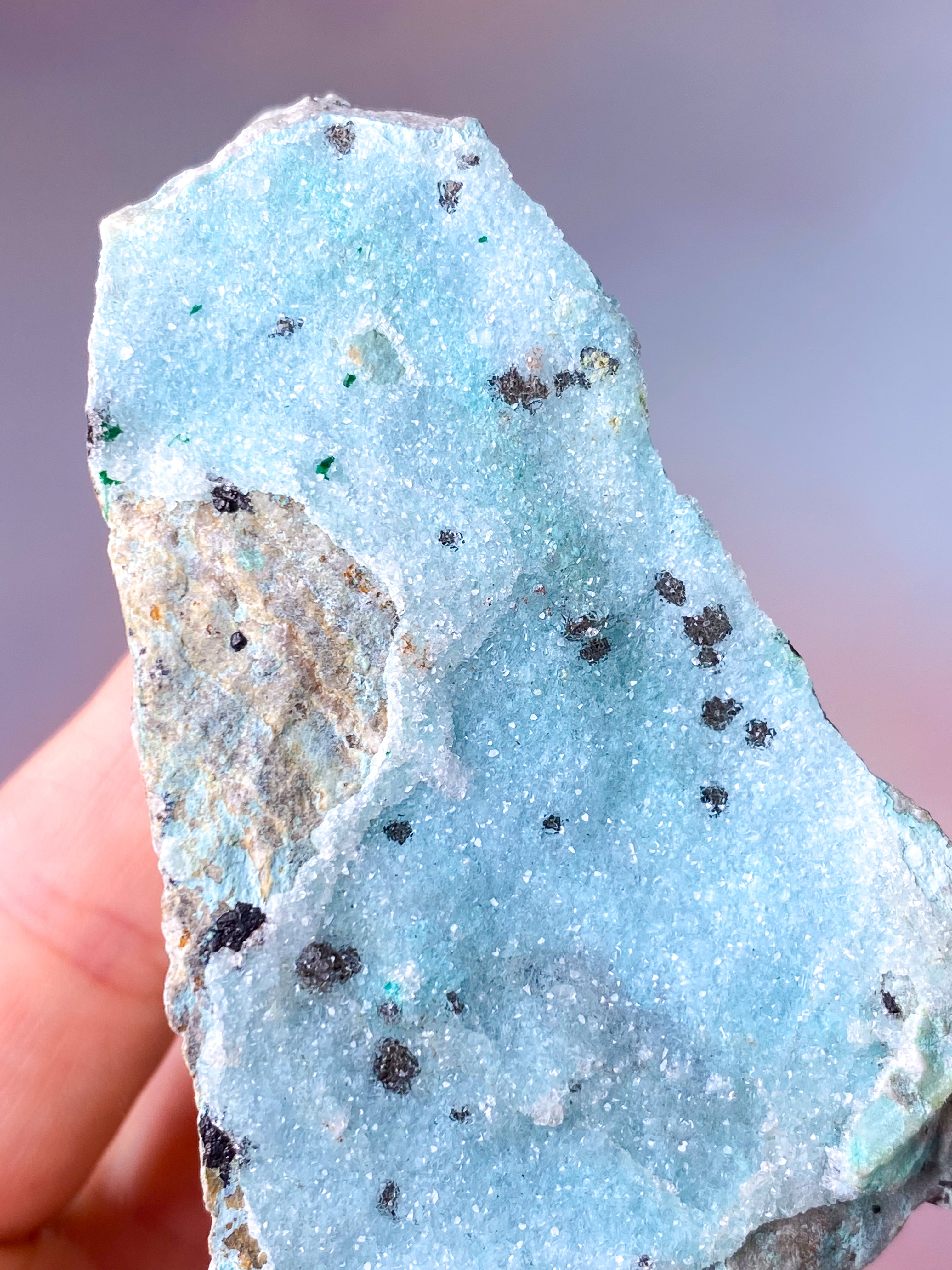 Druzy Chrysocolla (Nr. 12)