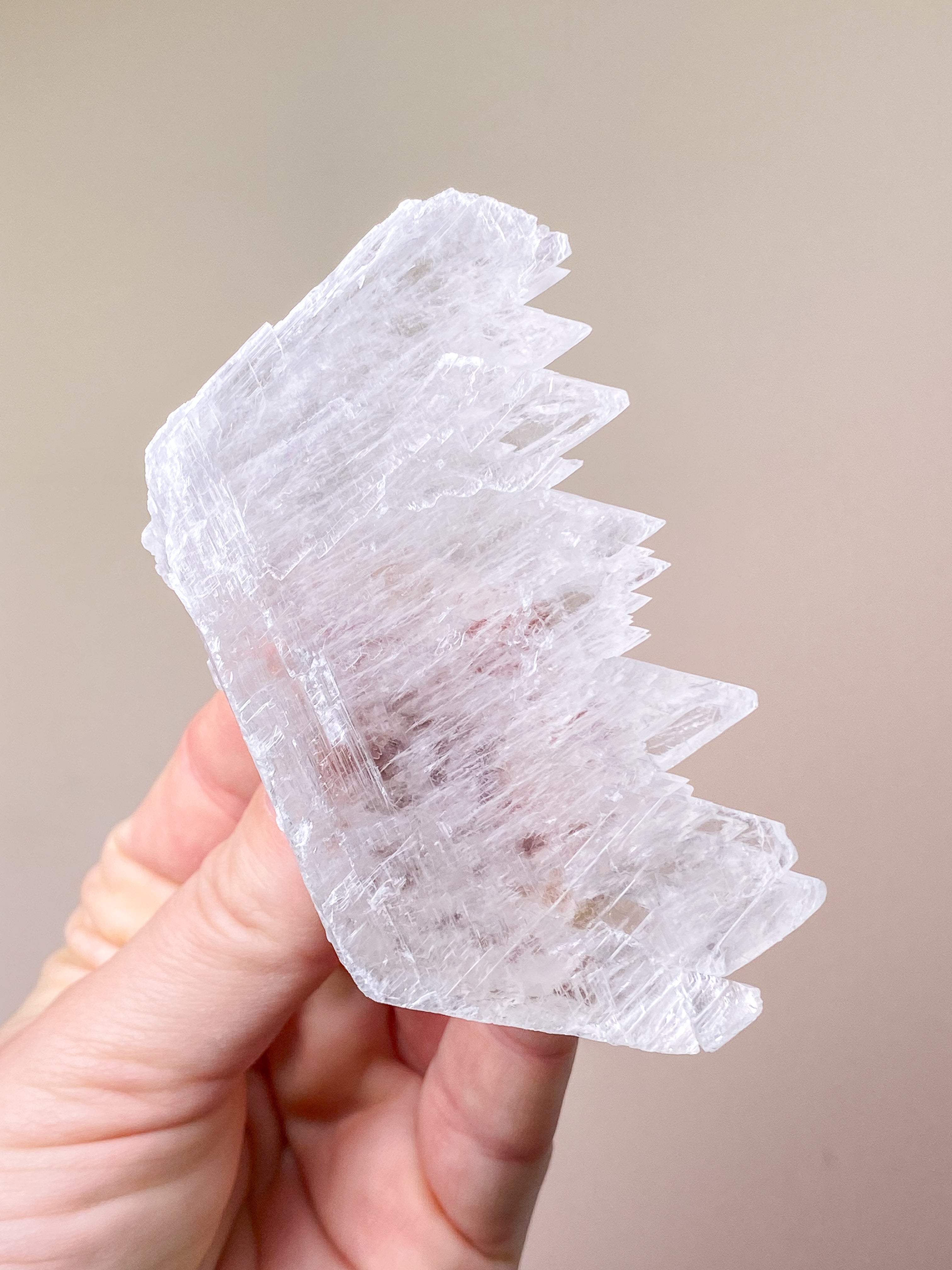 Fishtail/Angels Wing Selenite (No. 9) Exclusive Quality