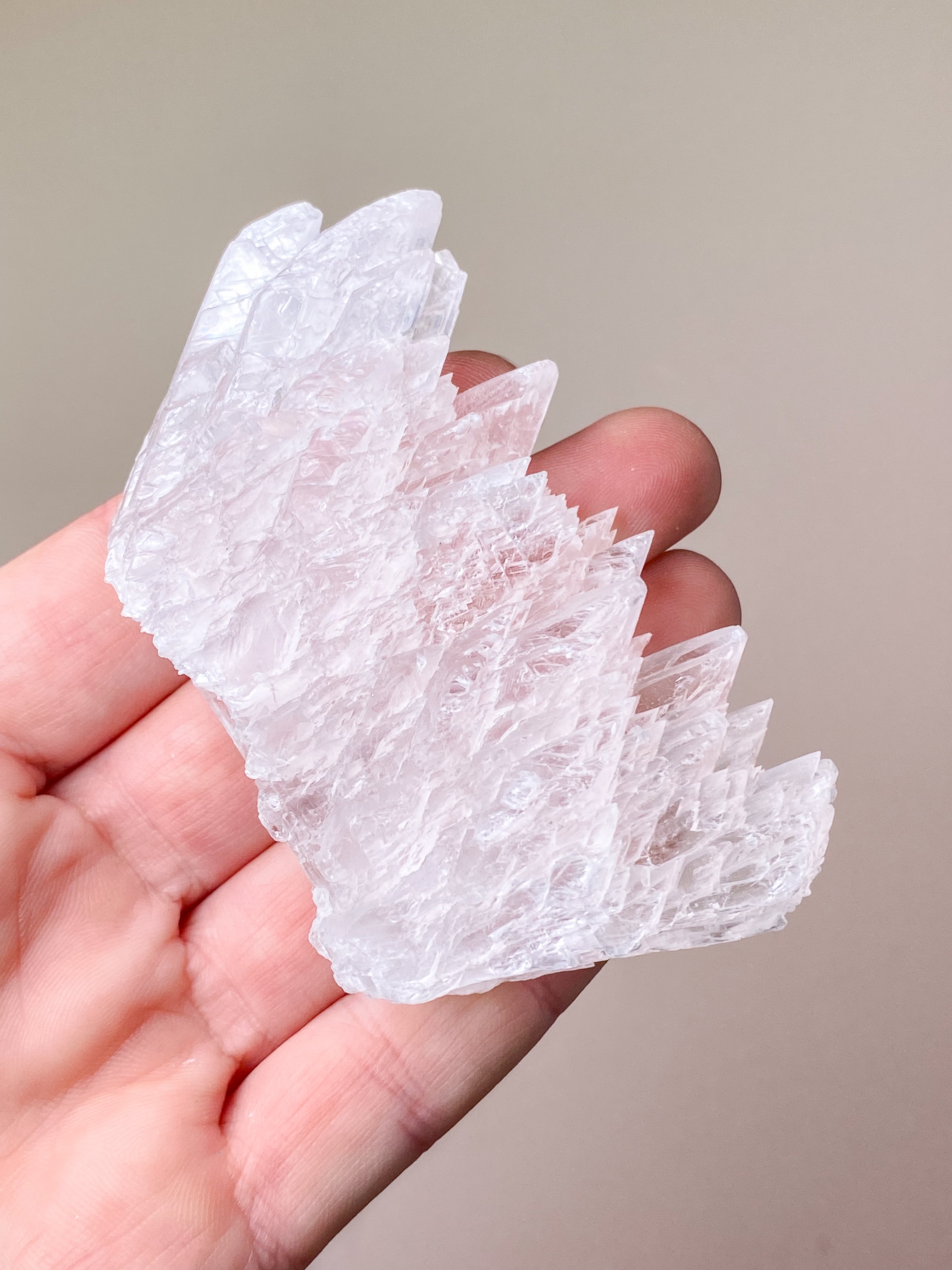 Fishtail/Angels Wing Selenite (No. 9) Exclusive Quality