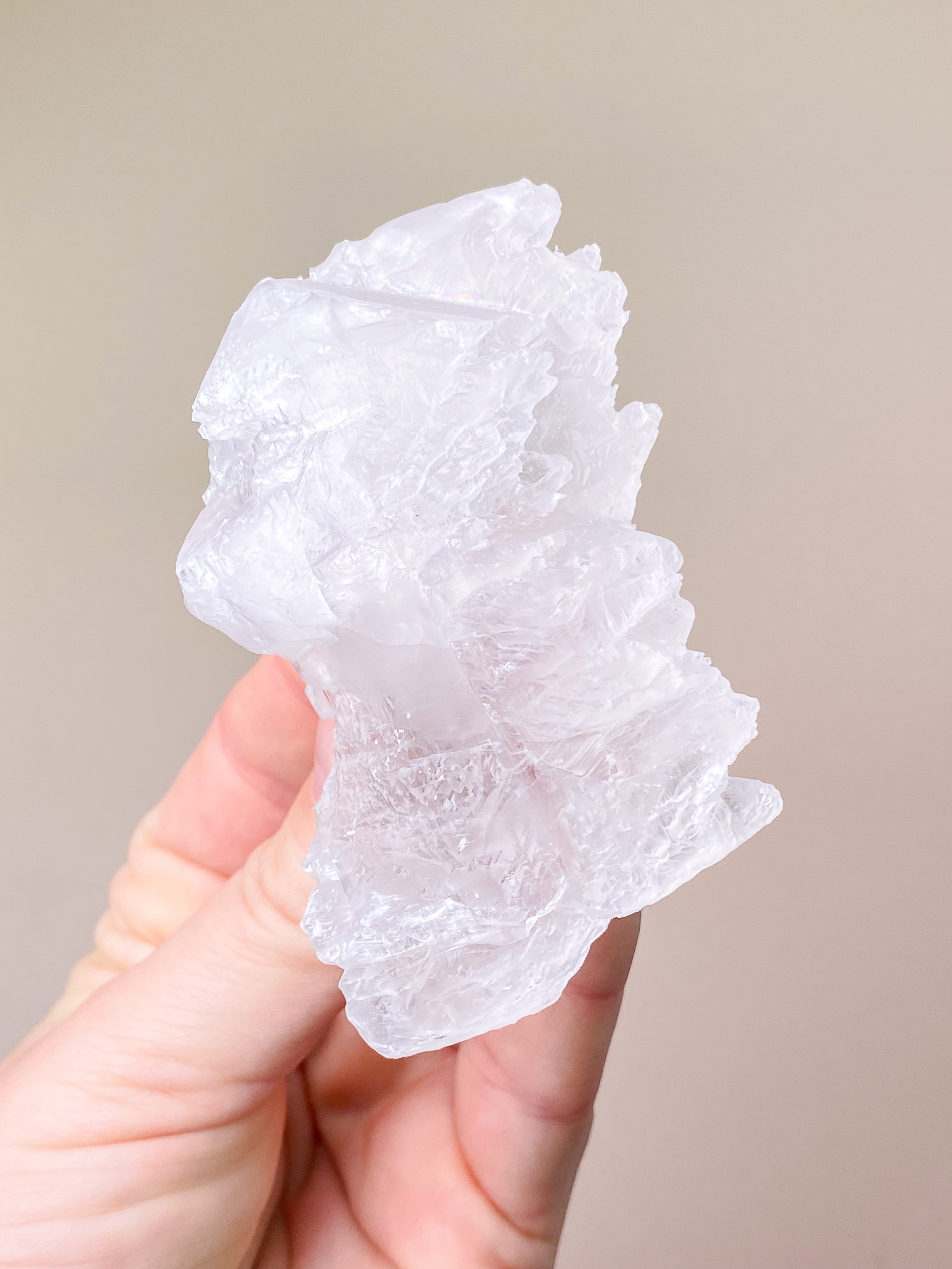 Fishtail/Angels Wing Selenite (No. 9) Exclusive Quality