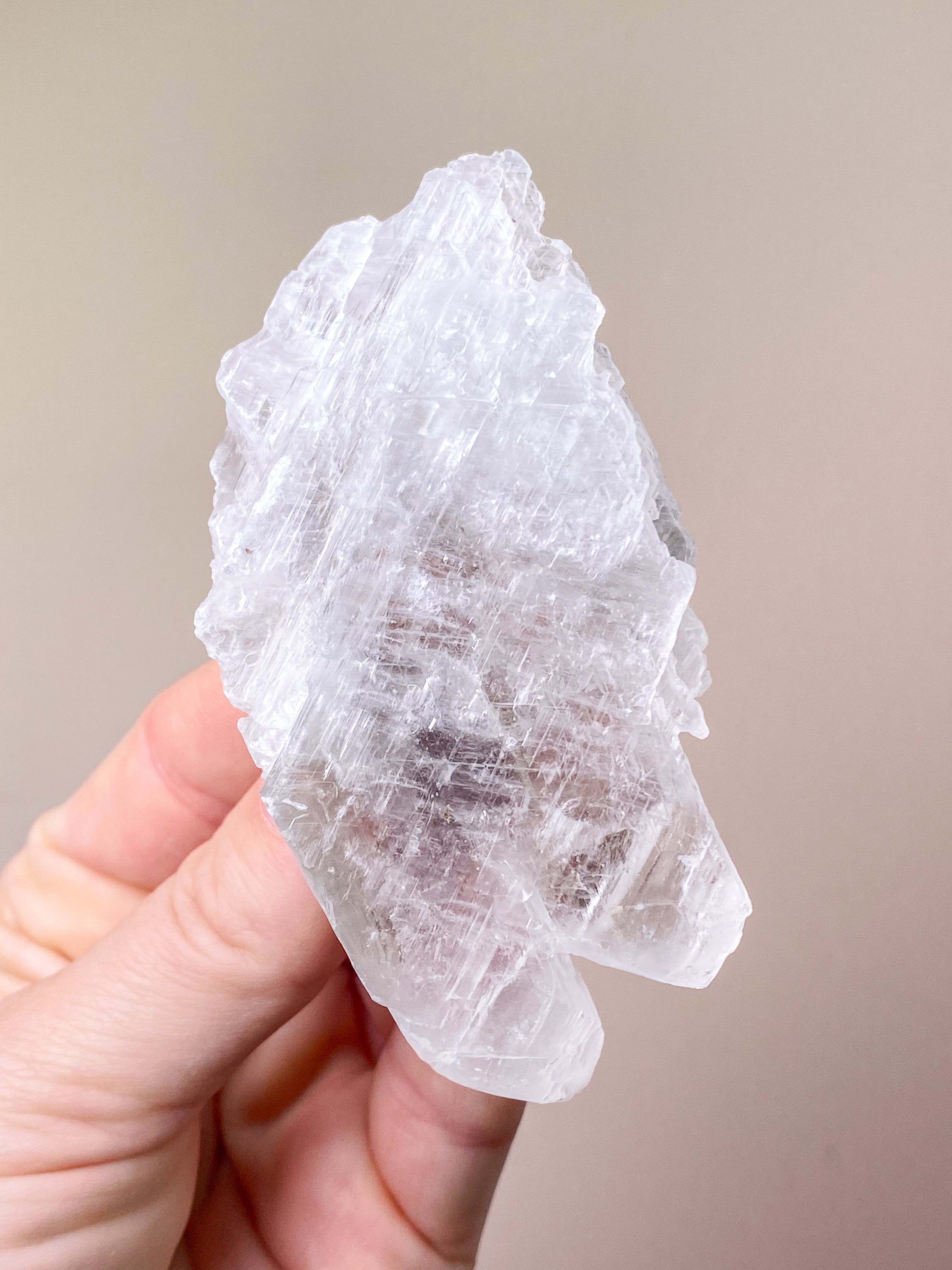 Fishtail/Angels Wing Selenite (No. 9) Exclusive Quality