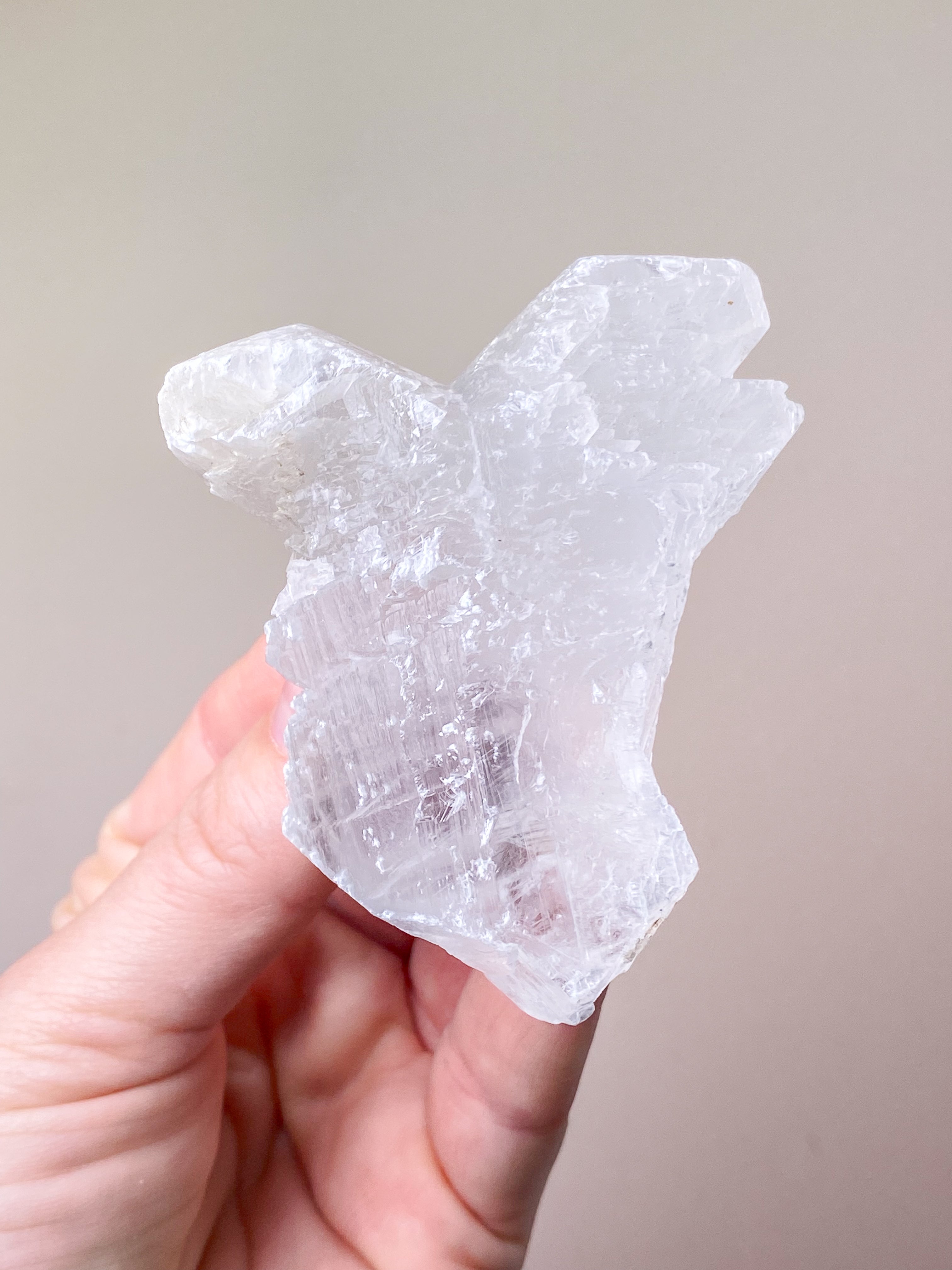 Fishtail/Angels Wing Selenite (No. 9) Exclusive Quality