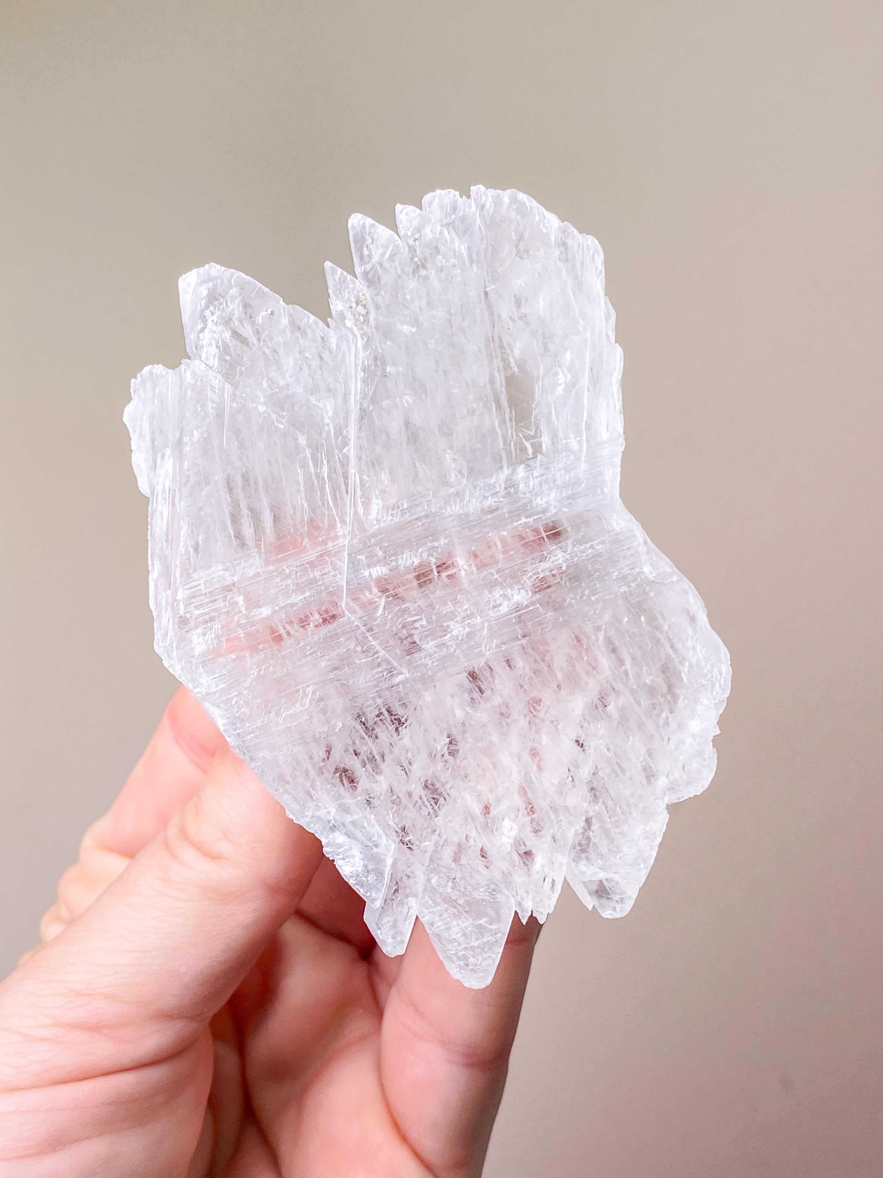 Fishtail/Angels Wing Selenite (No. 9) Exclusive Quality