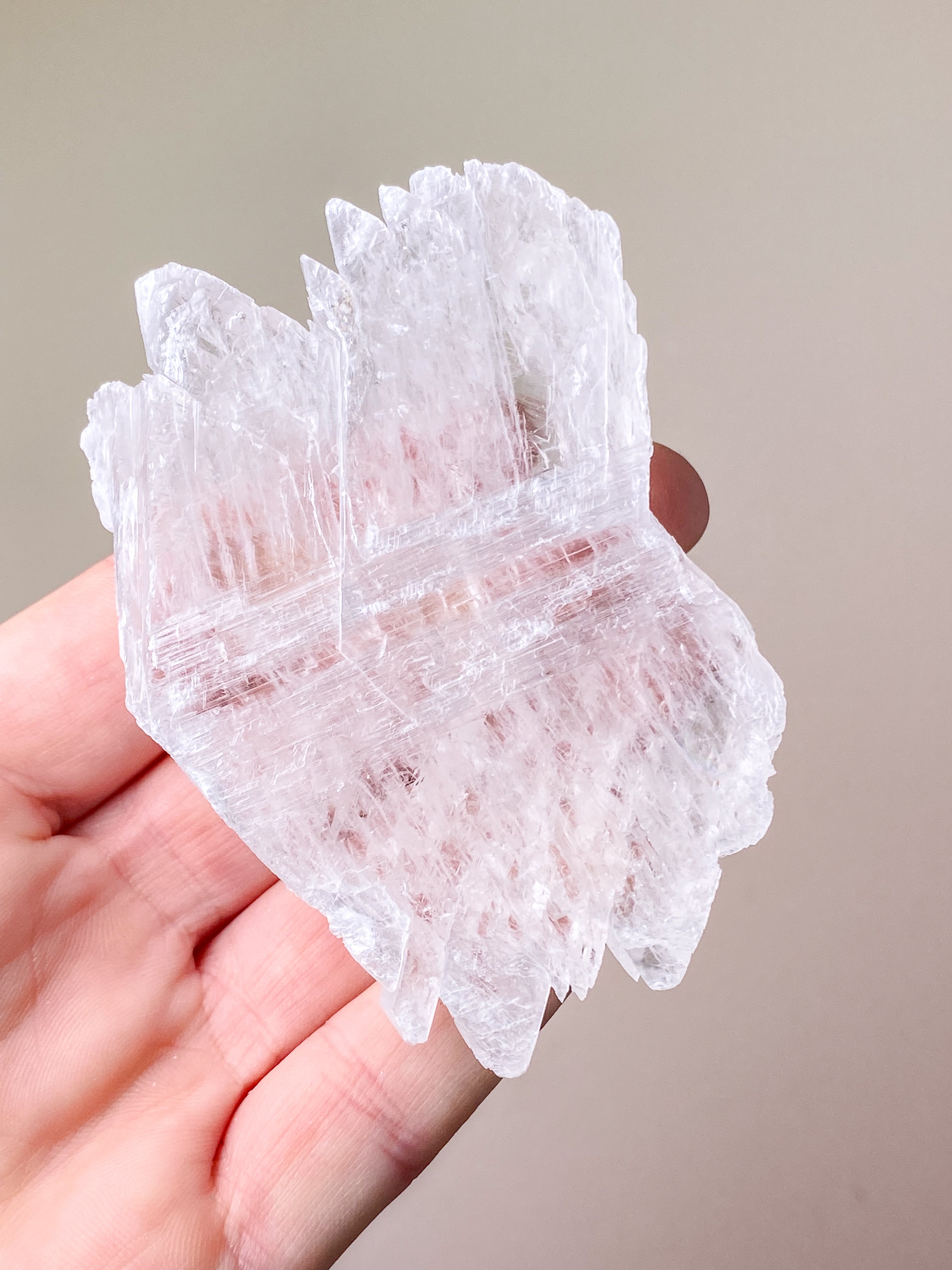 Fishtail/Angels Wing Selenite (No. 9) Exclusive Quality