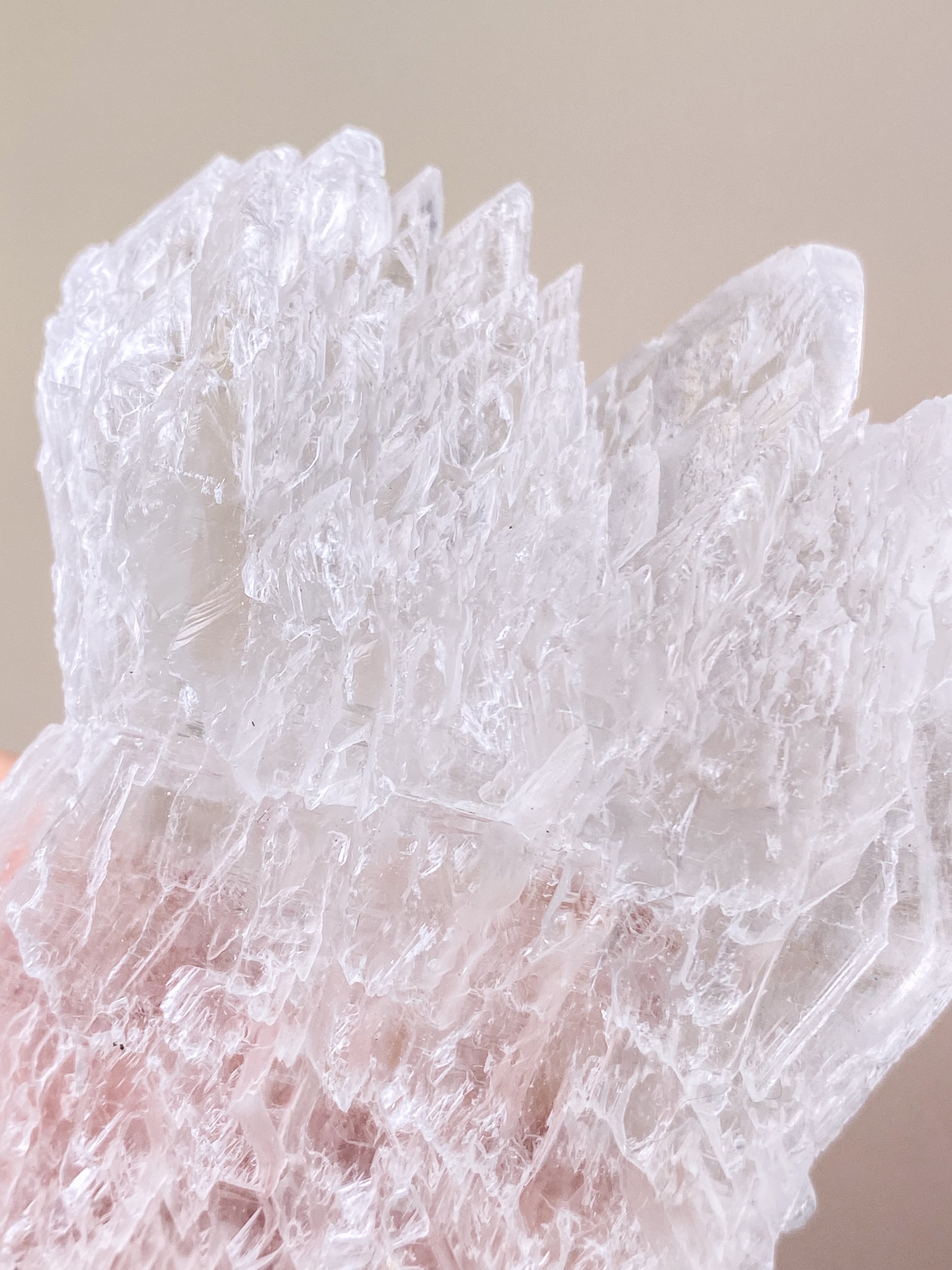 Fishtail/Angels Wing Selenite (No. 9) Exclusive Quality