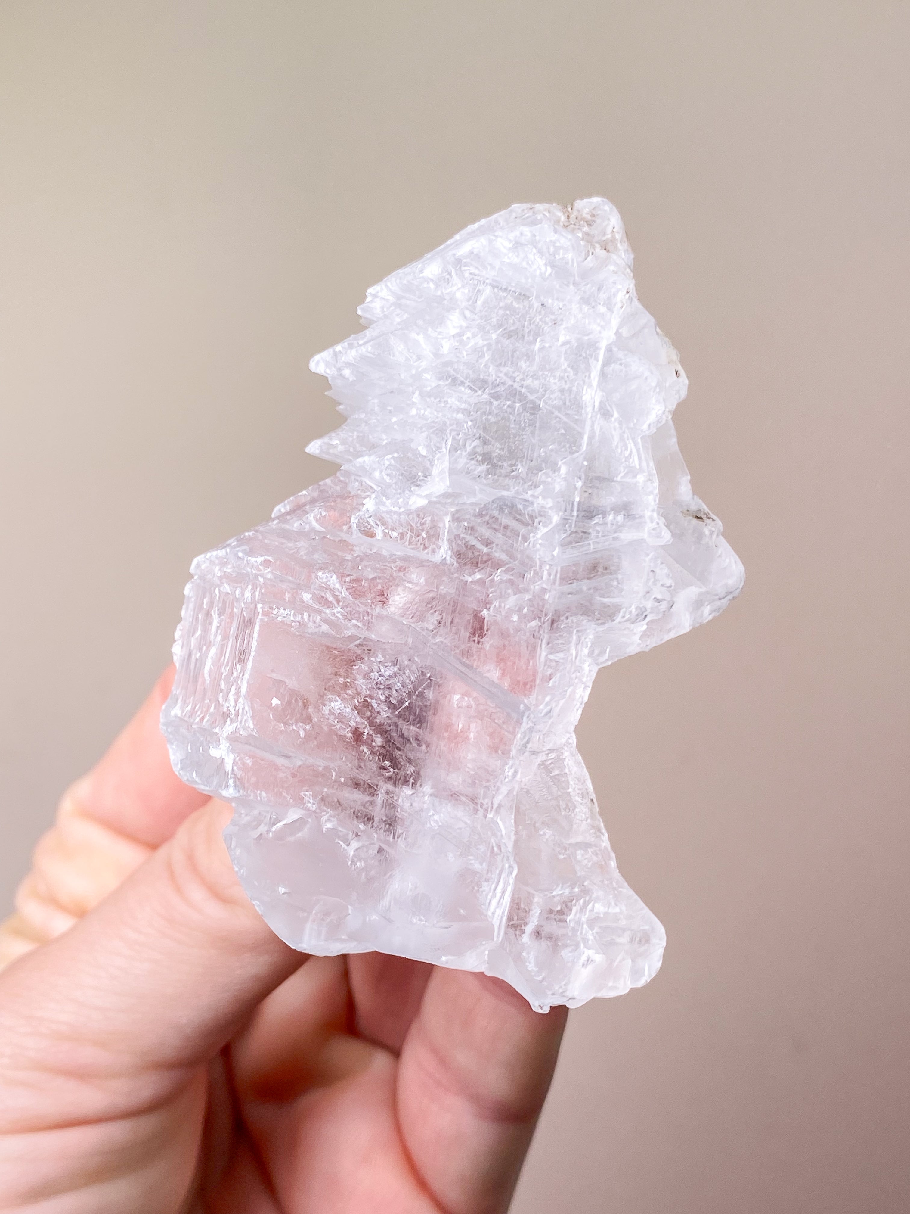 Fishtail/Angels Wing Selenite (No. 9) Exclusive Quality