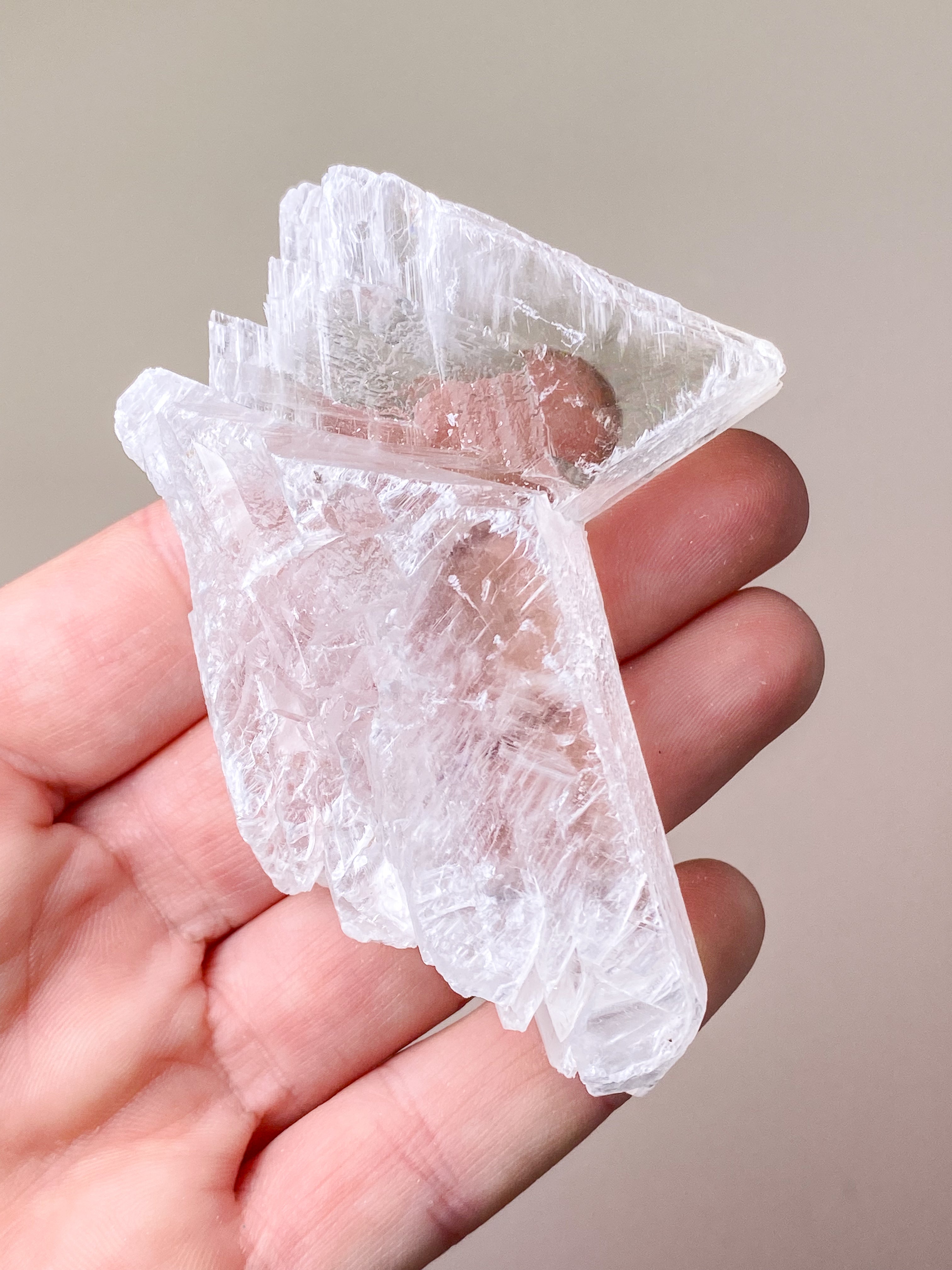 Fishtail/Angels Wing Selenit (Nr. 11) Eksklusiv Kvalitet