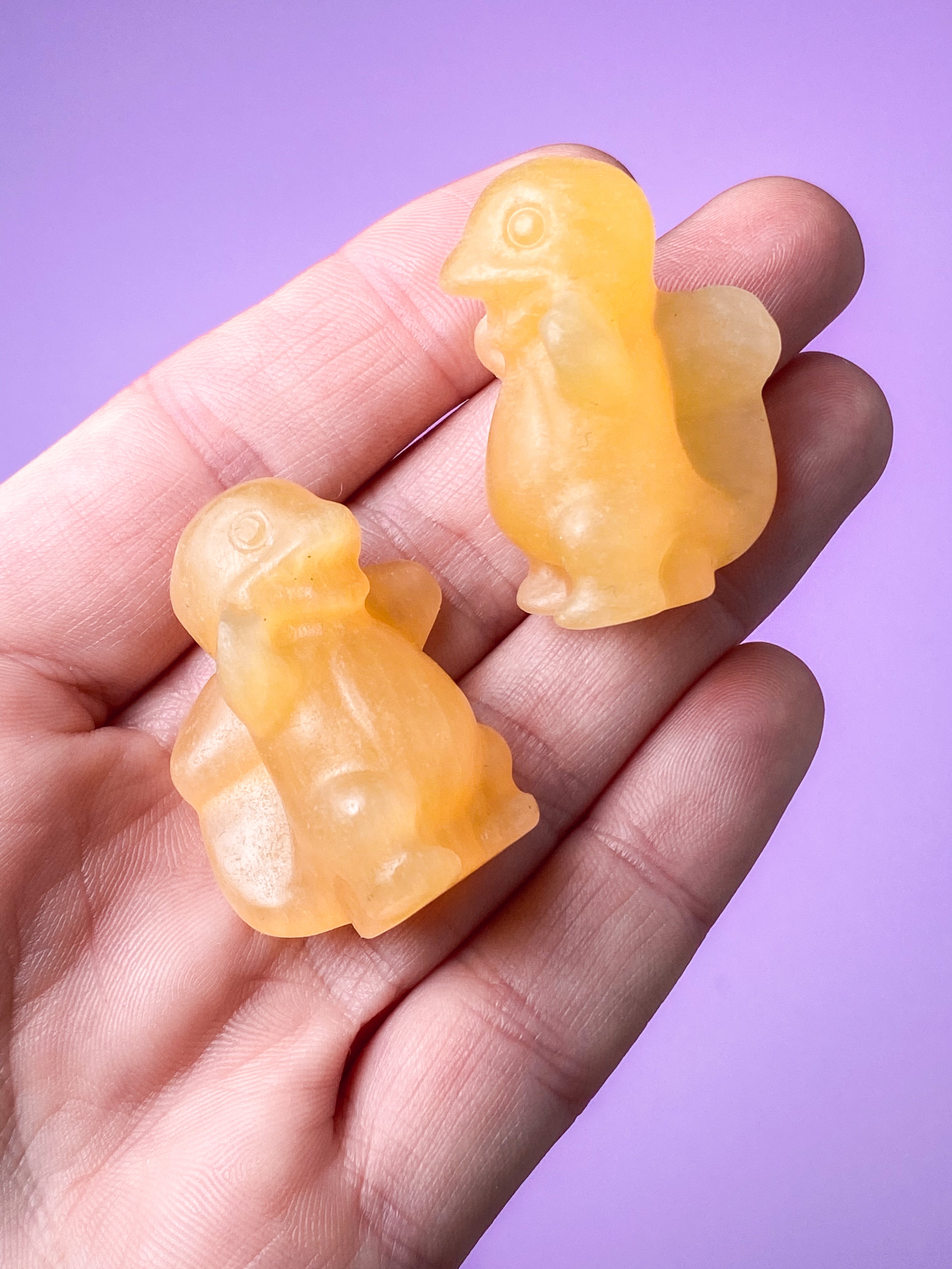 Orange Calcit Charmander Mini